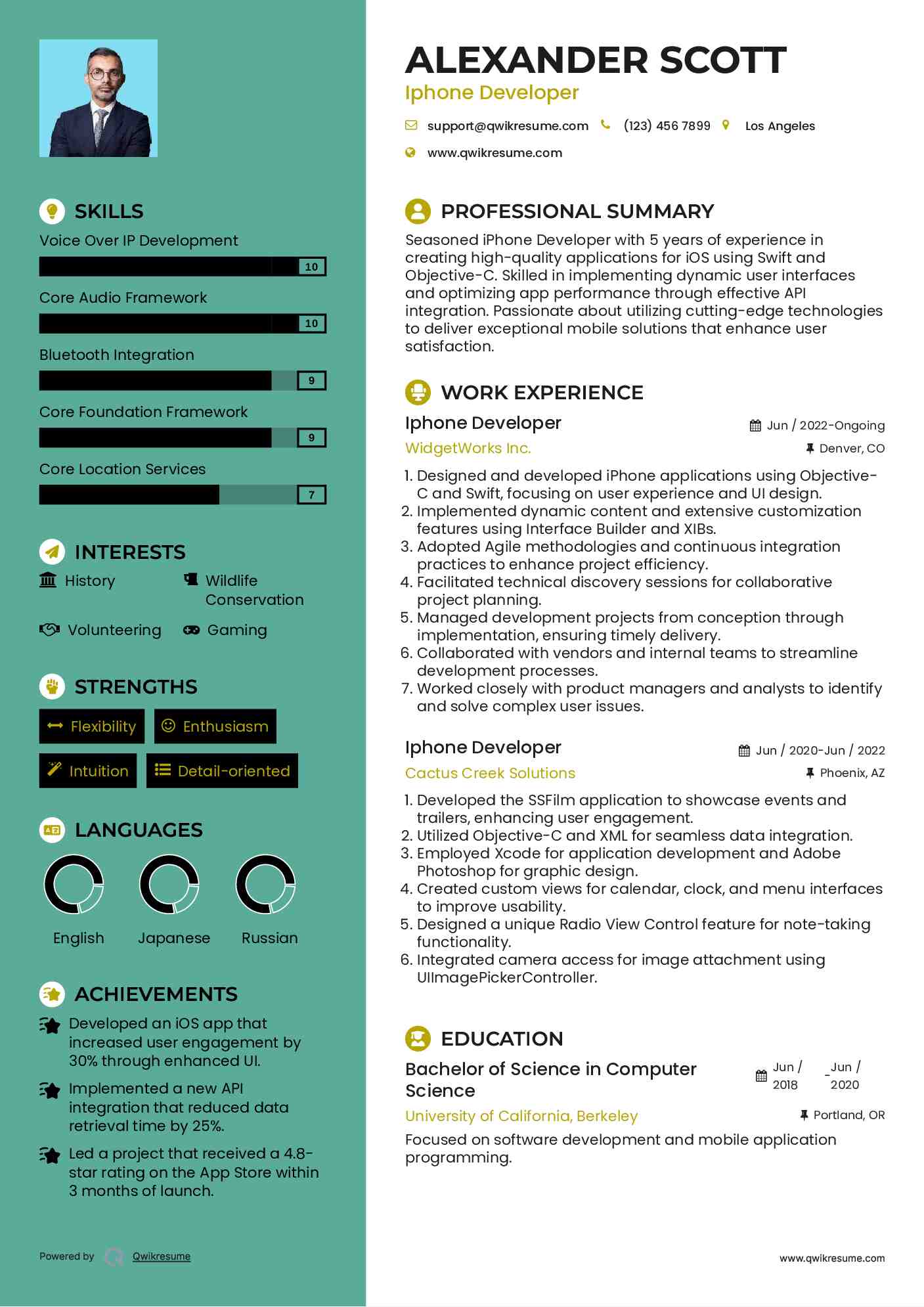 Iphone Developer Resume Model