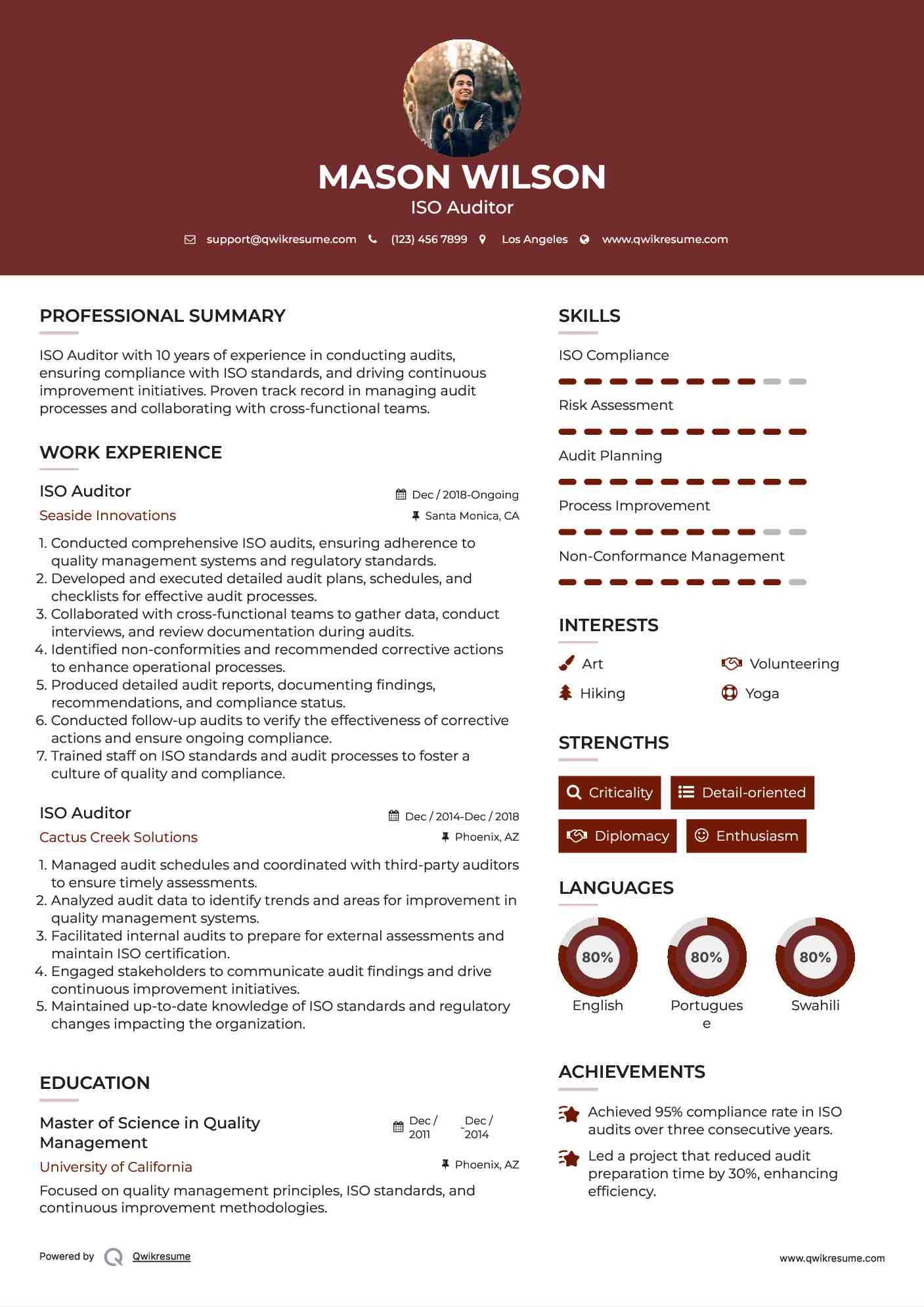 ISO Auditor Resume Format