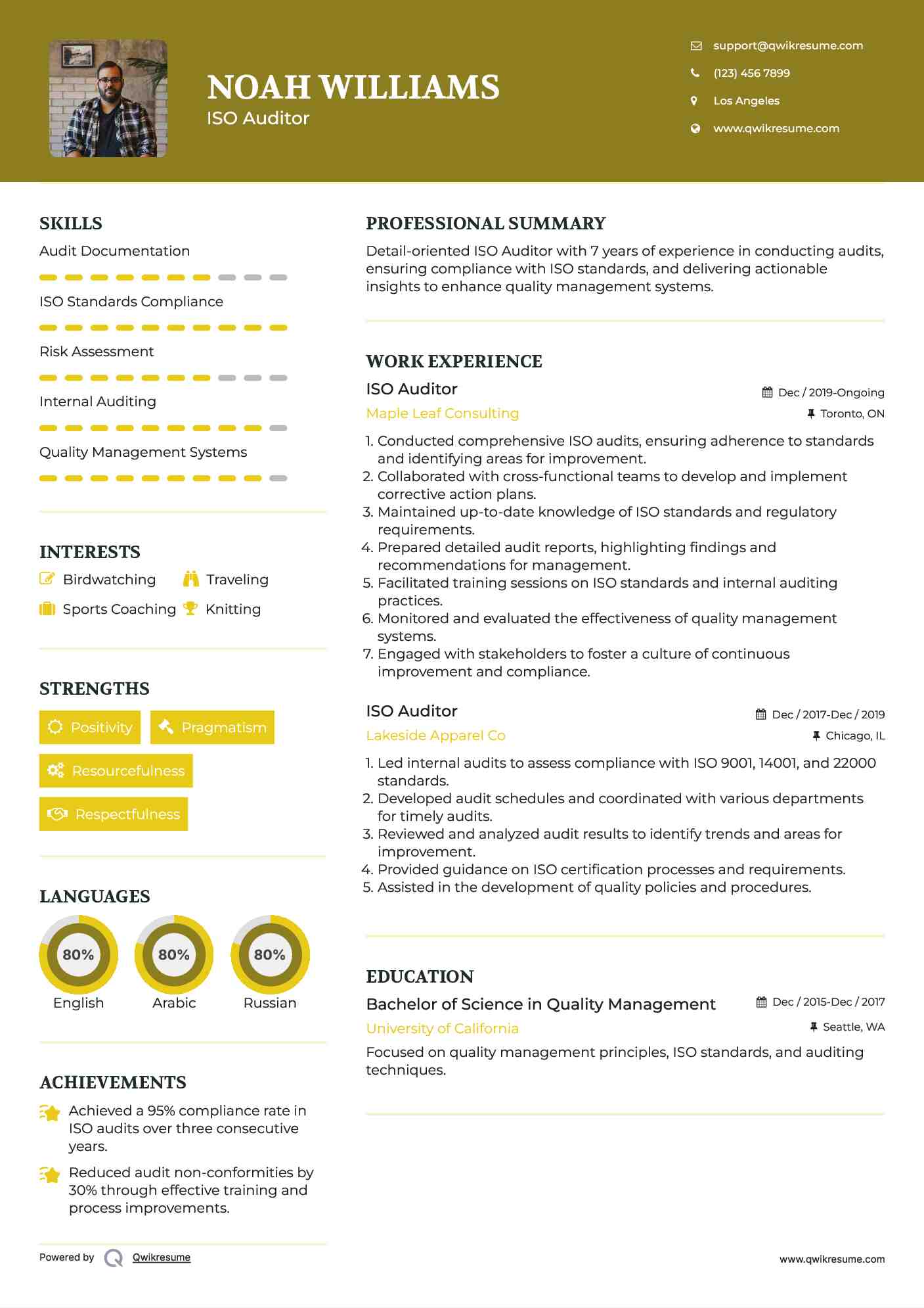 ISO Auditor Resume Format