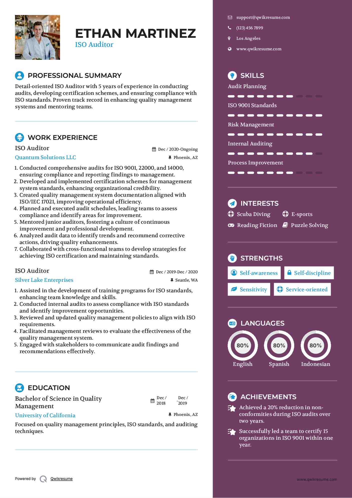 ISO Auditor Resume Sample