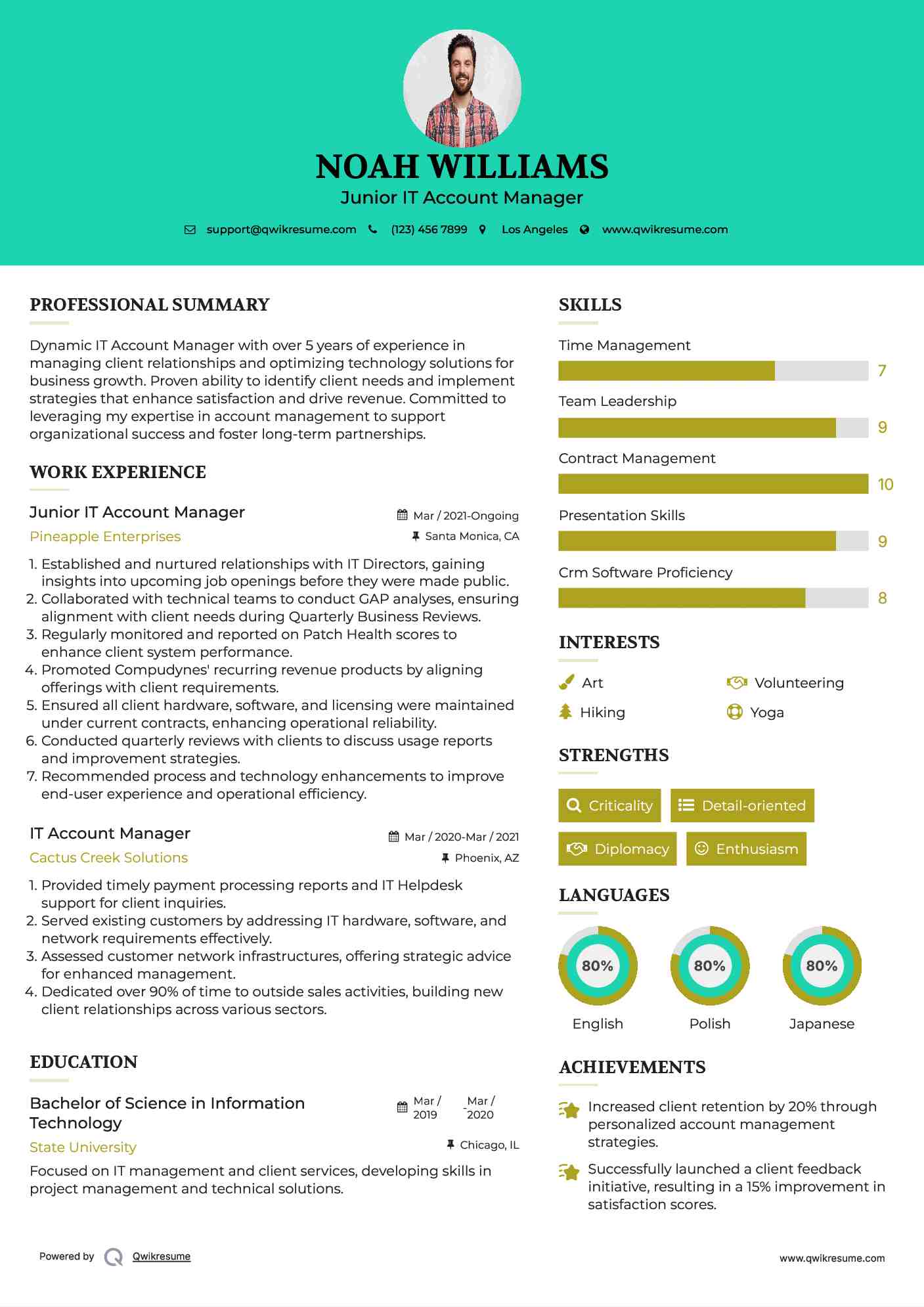 Junior IT Account Manager Resume Sample