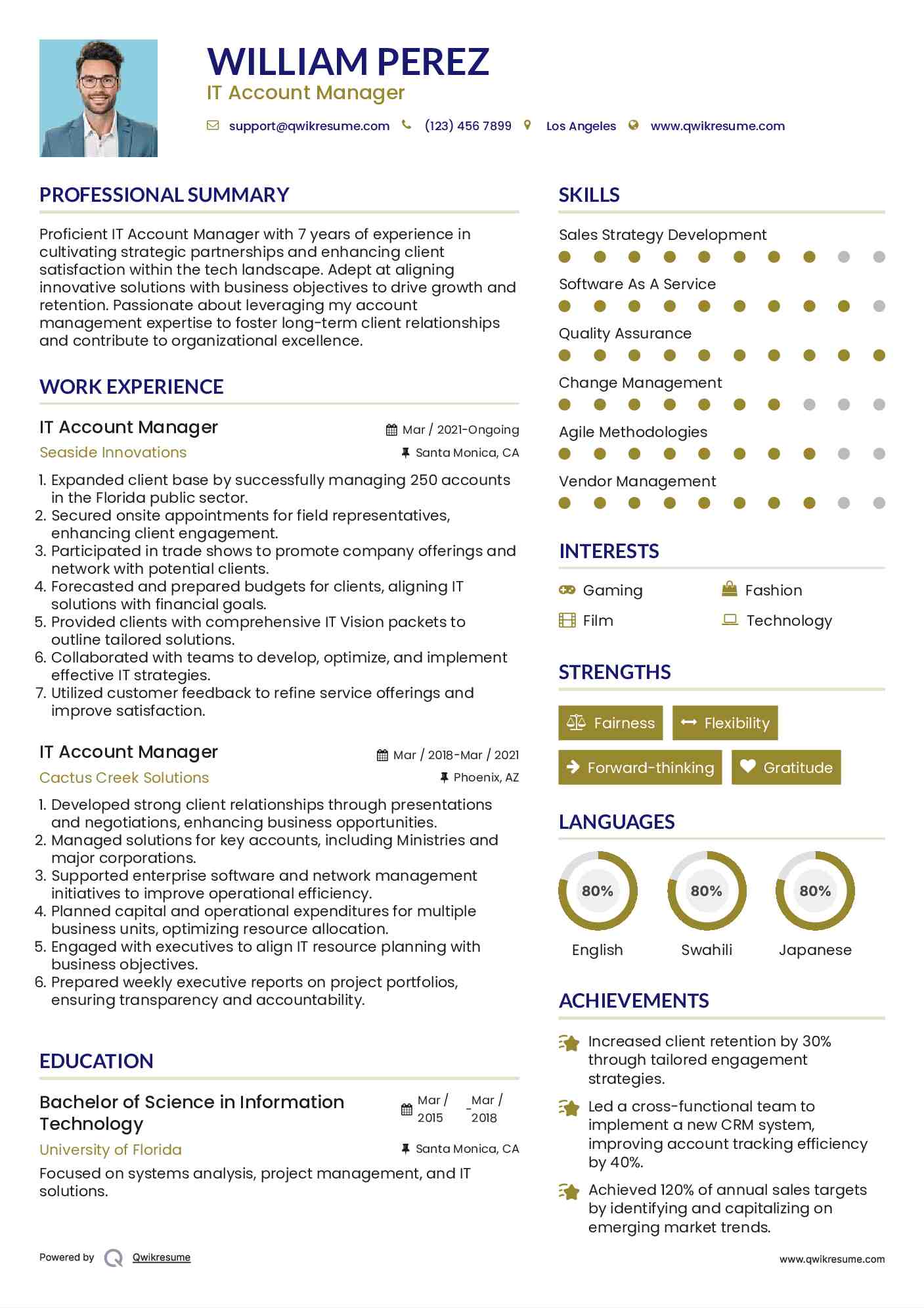 IT Account Manager Resume Format