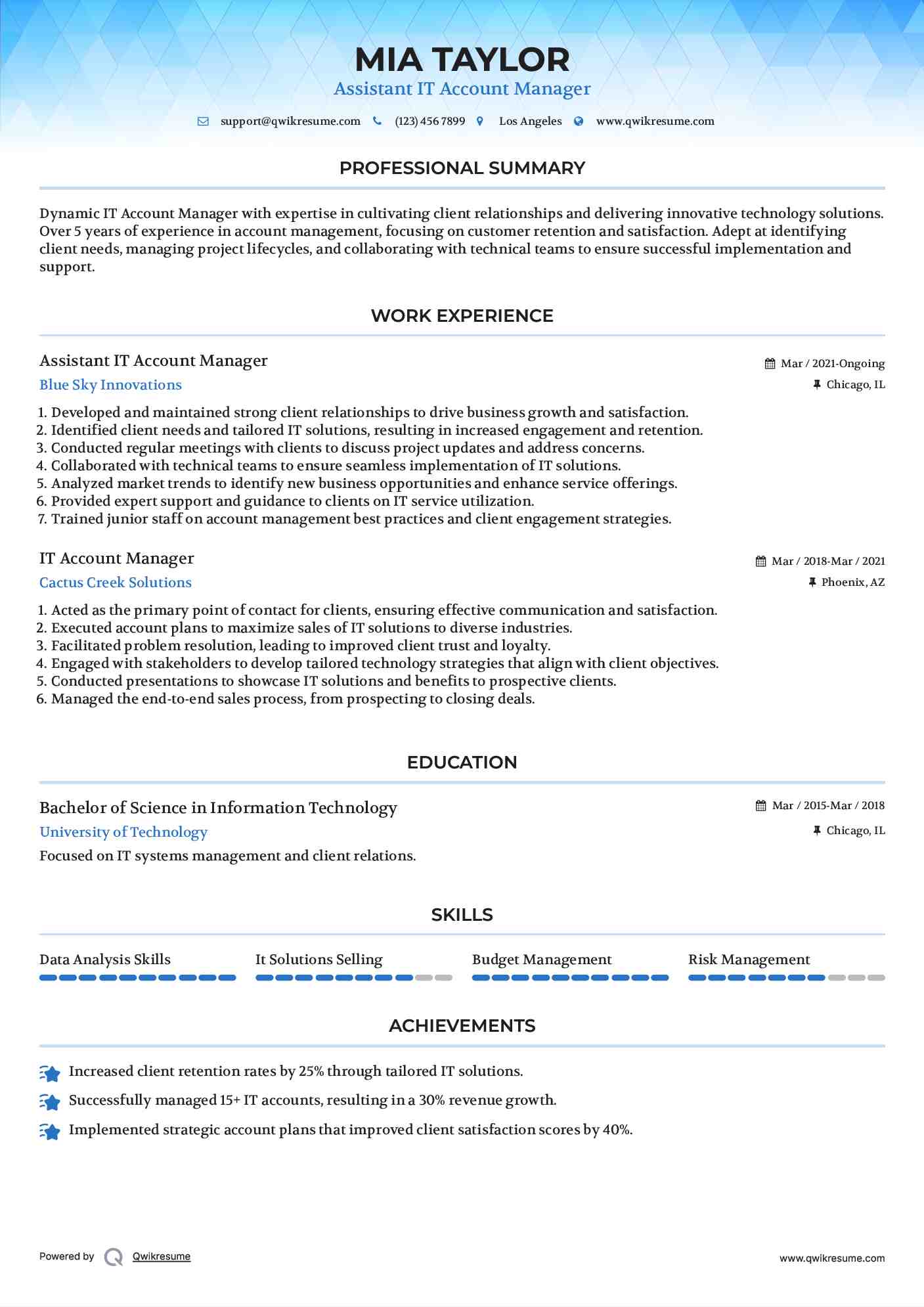 Assistant IT Account Manager Resume Model