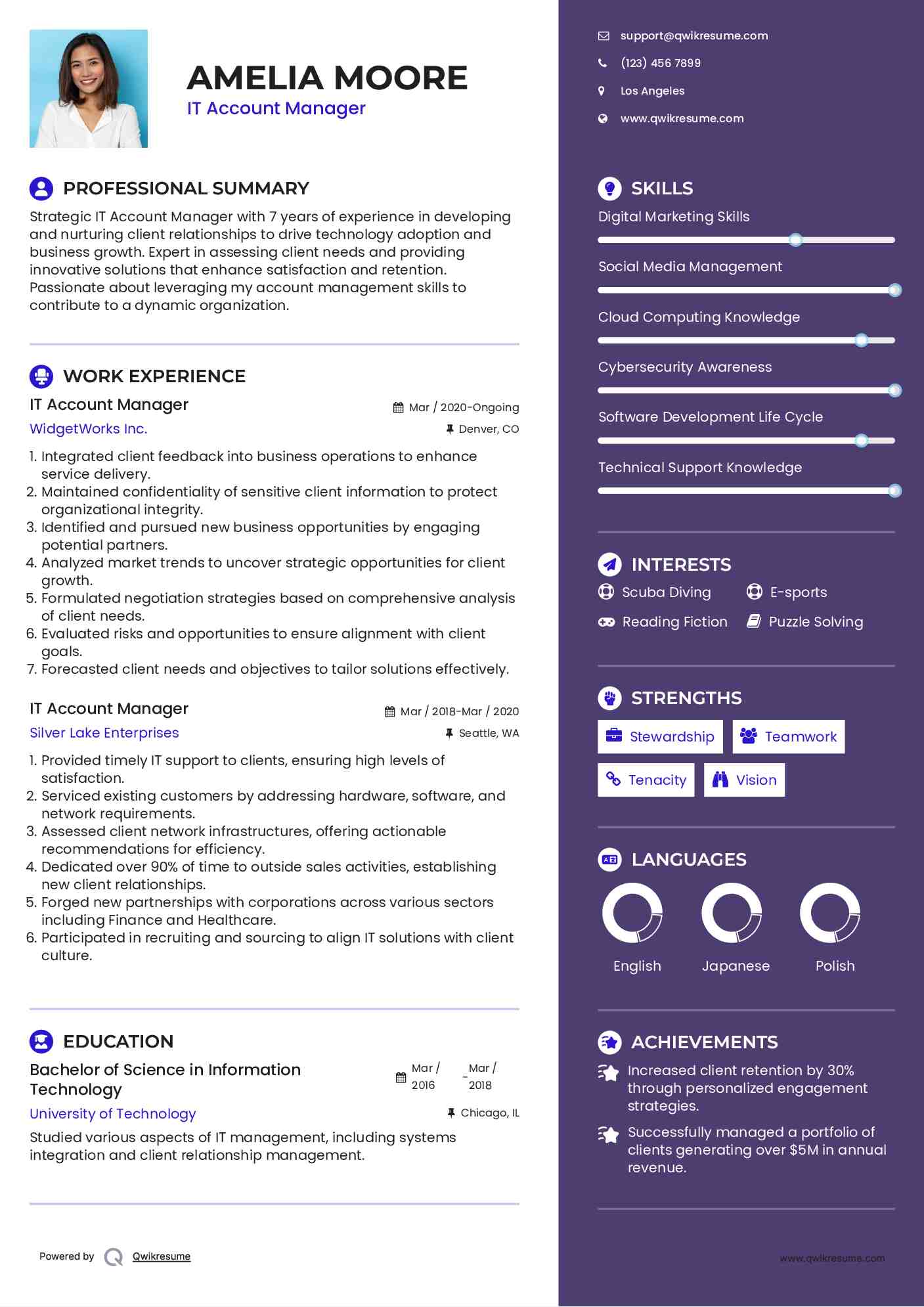 IT Account Manager Resume Sample