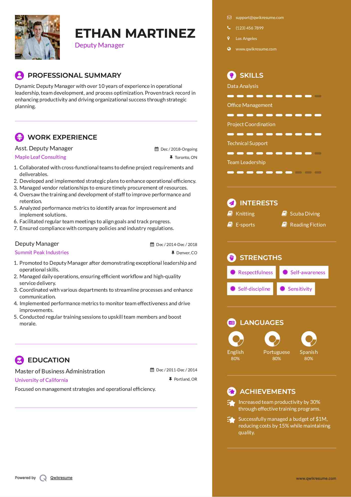 Asst. Deputy Manager Resume Example