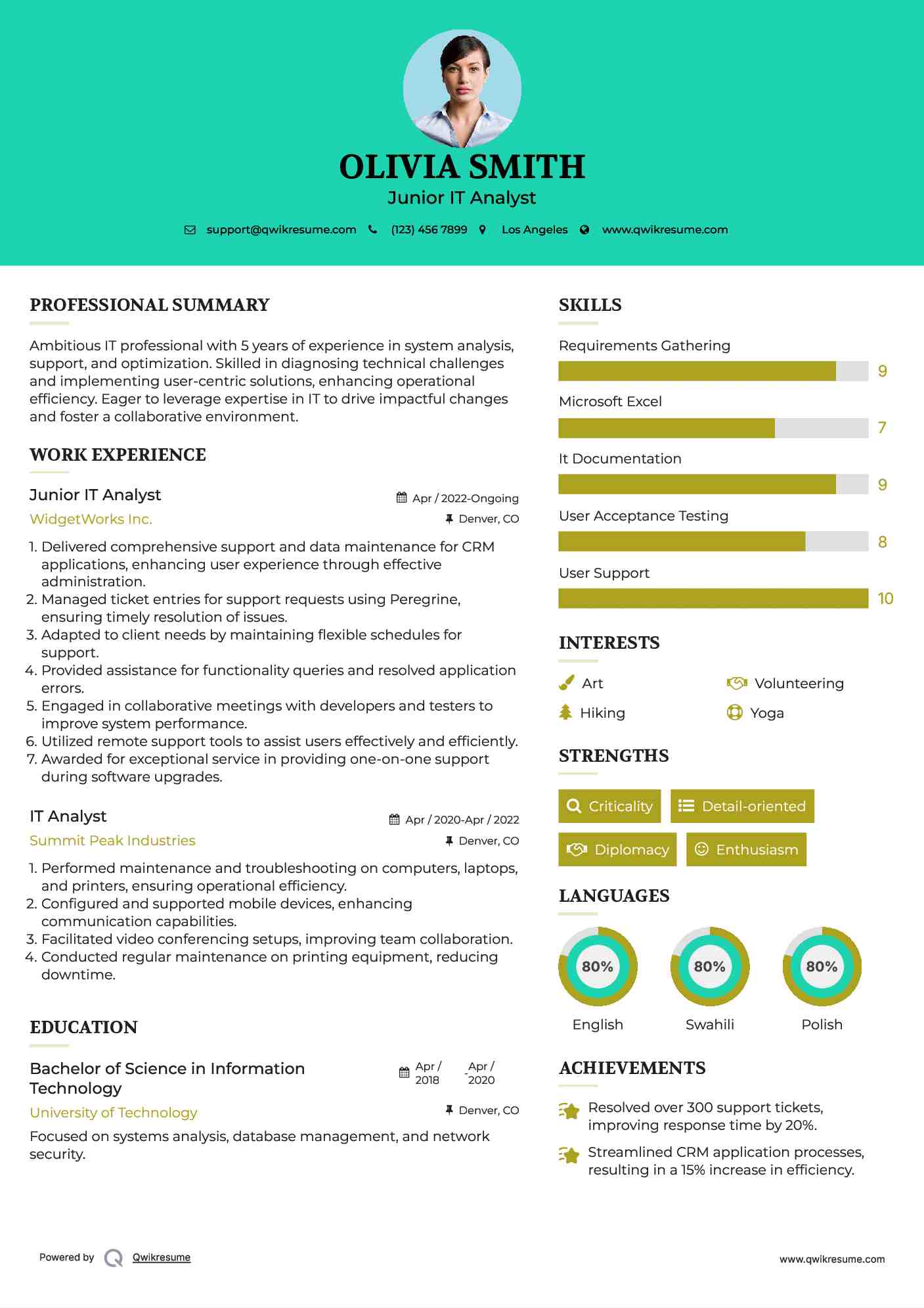 Junior IT Analyst Resume Format