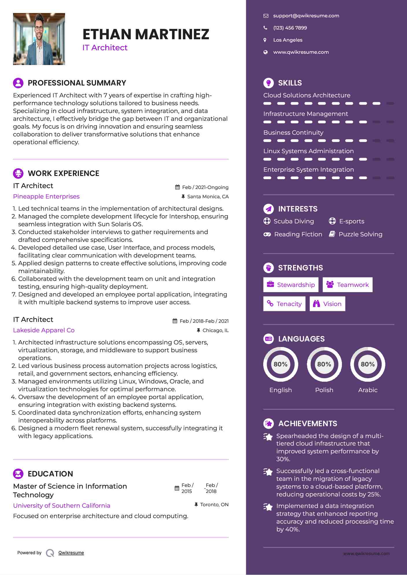 IT Architect Resume Template