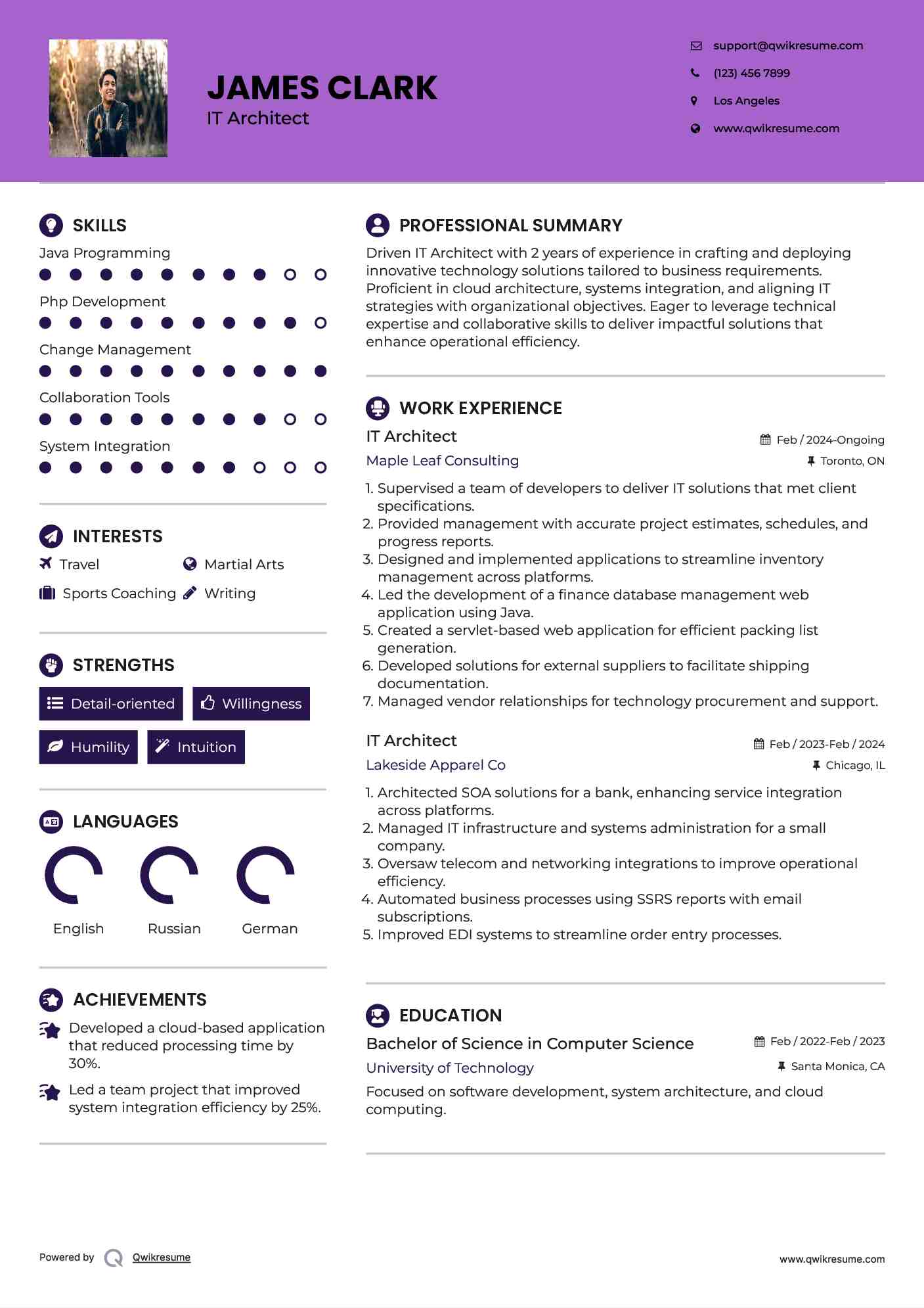 IT Architect Resume Model