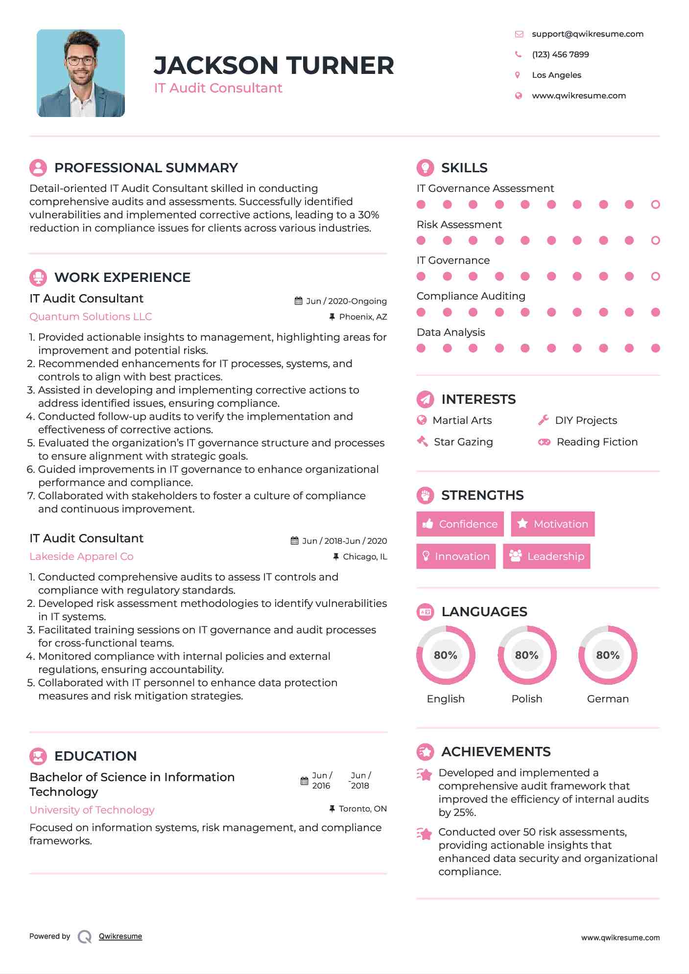 IT Audit Consultant Resume Format