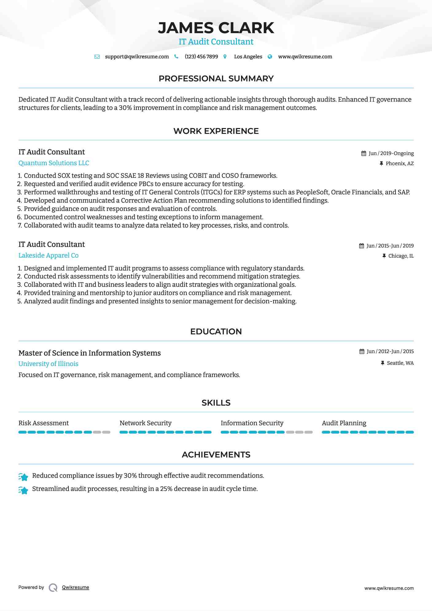 IT Audit Consultant Resume Sample