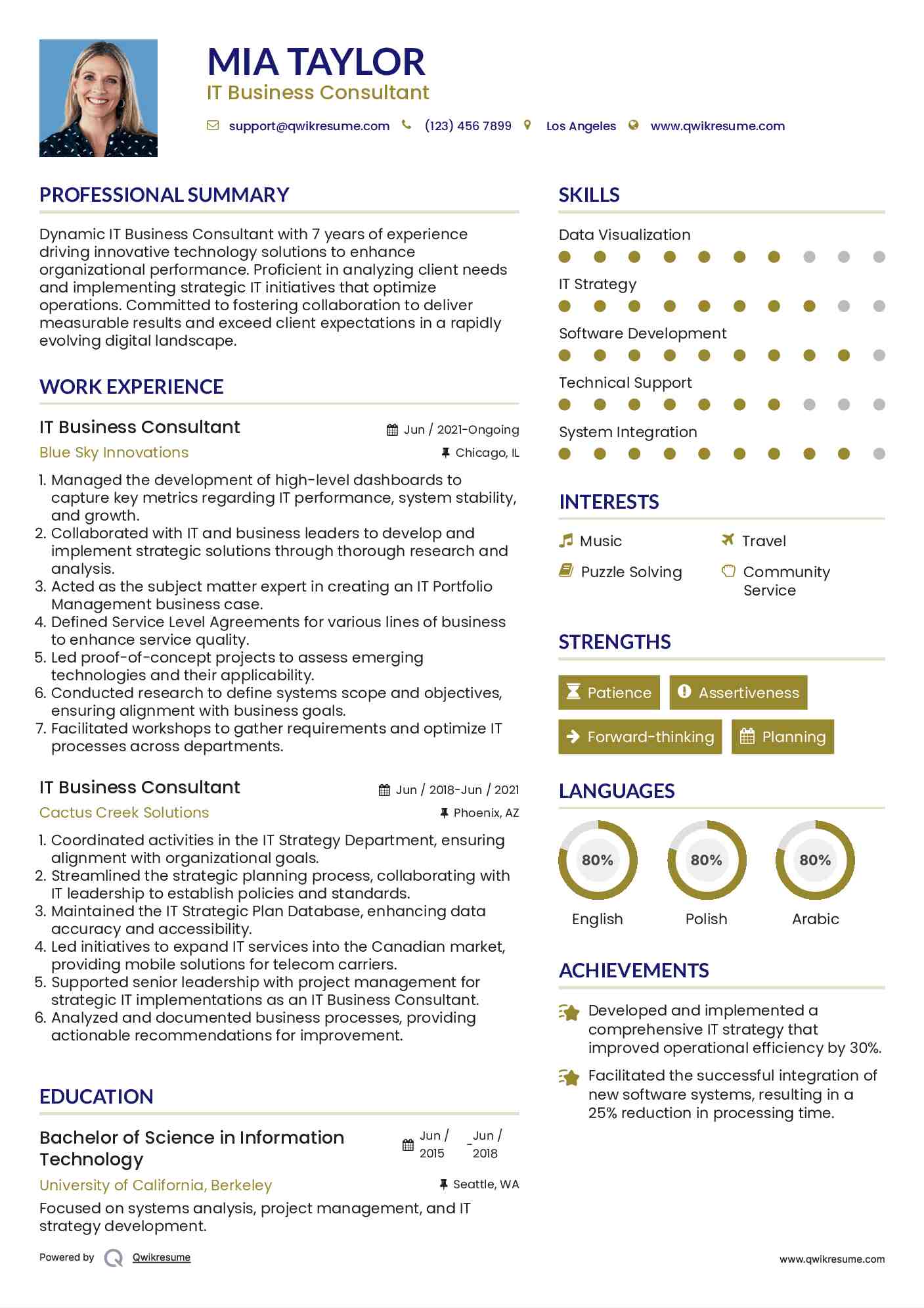 IT Business Consultant Resume Example