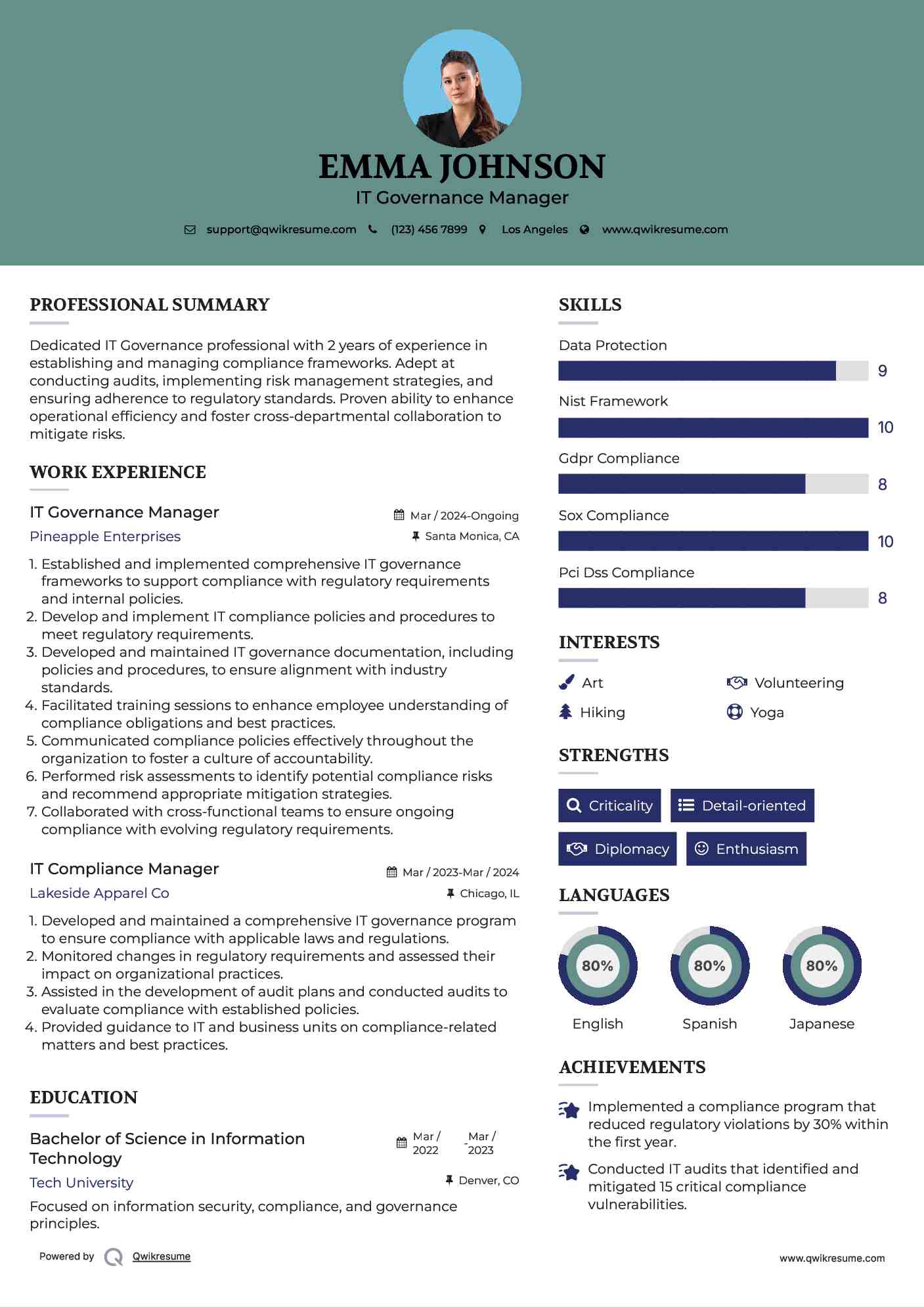 IT Governance Manager Resume Example