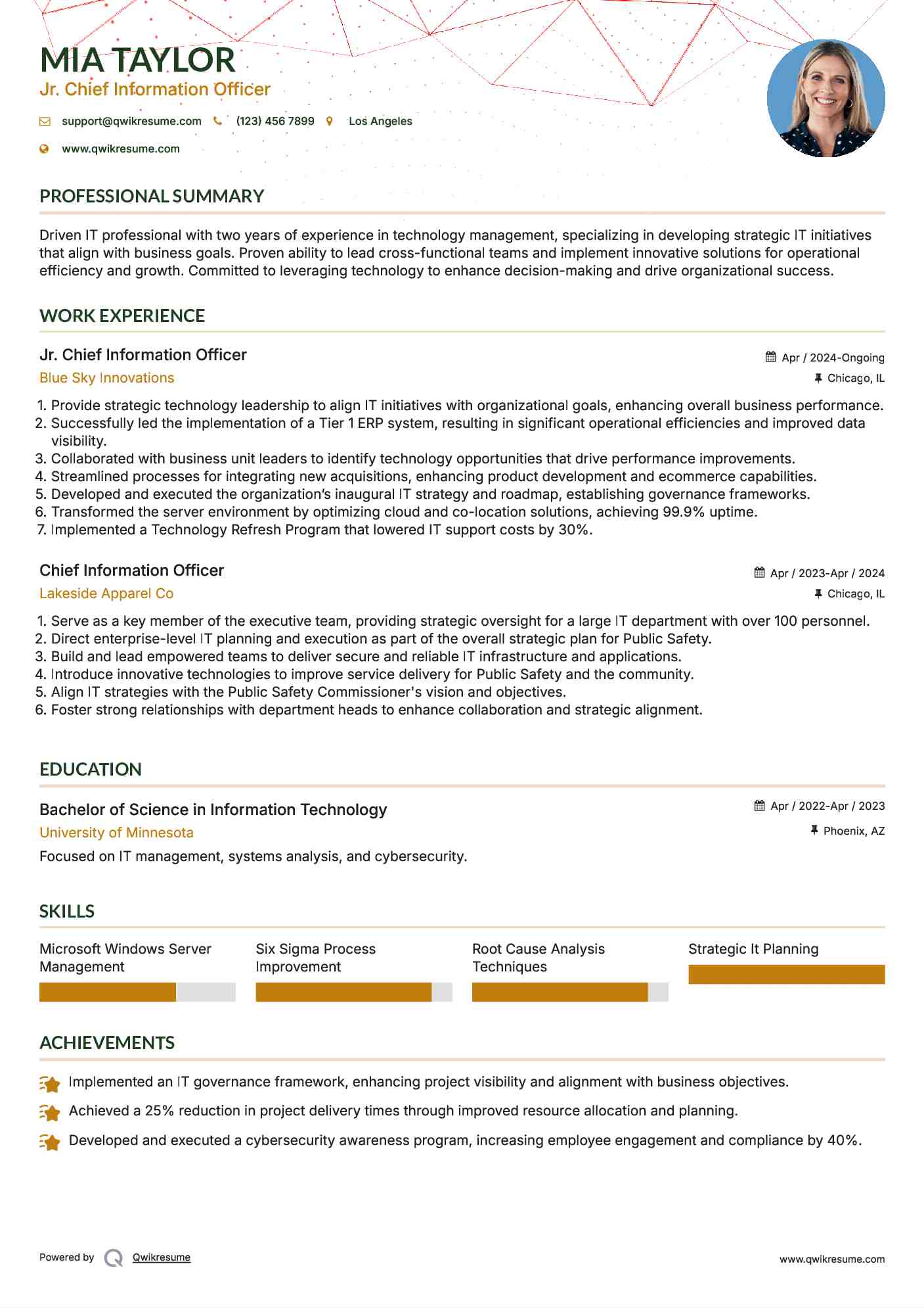 Jr. Chief Information Officer Resume Example