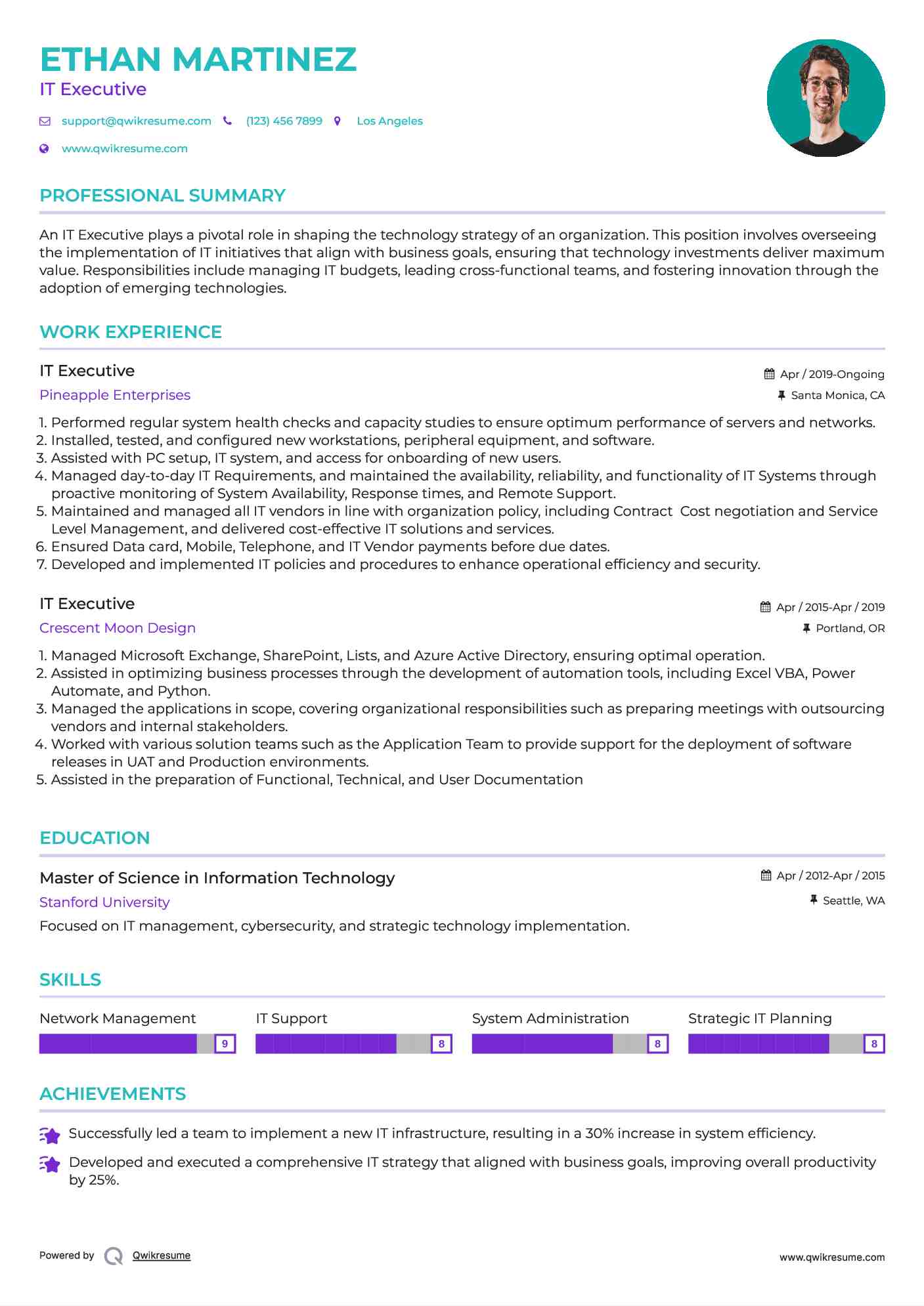 IT Executive Resume Sample