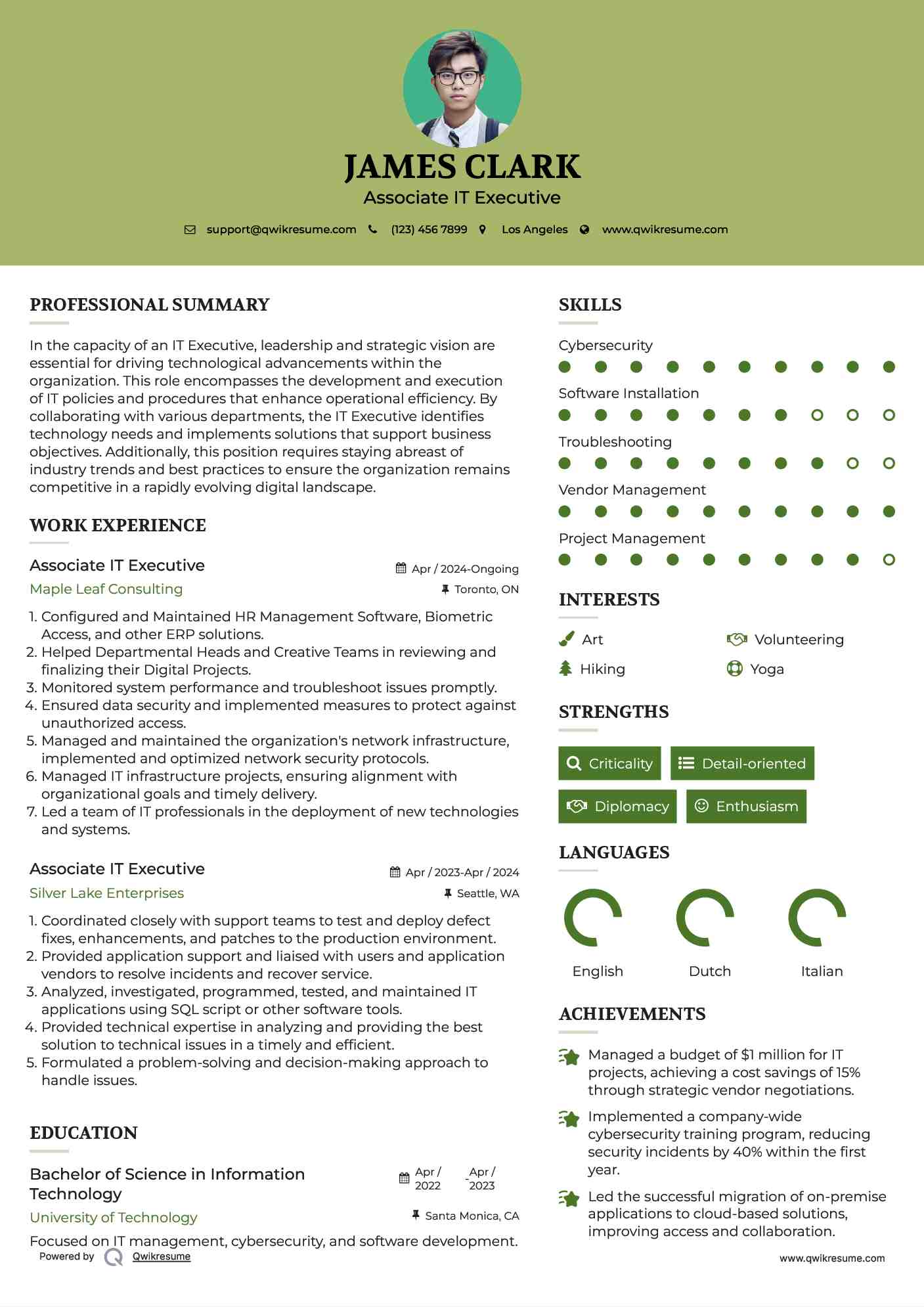 10+ IT Executive Resume Samples & Templates for 2025
