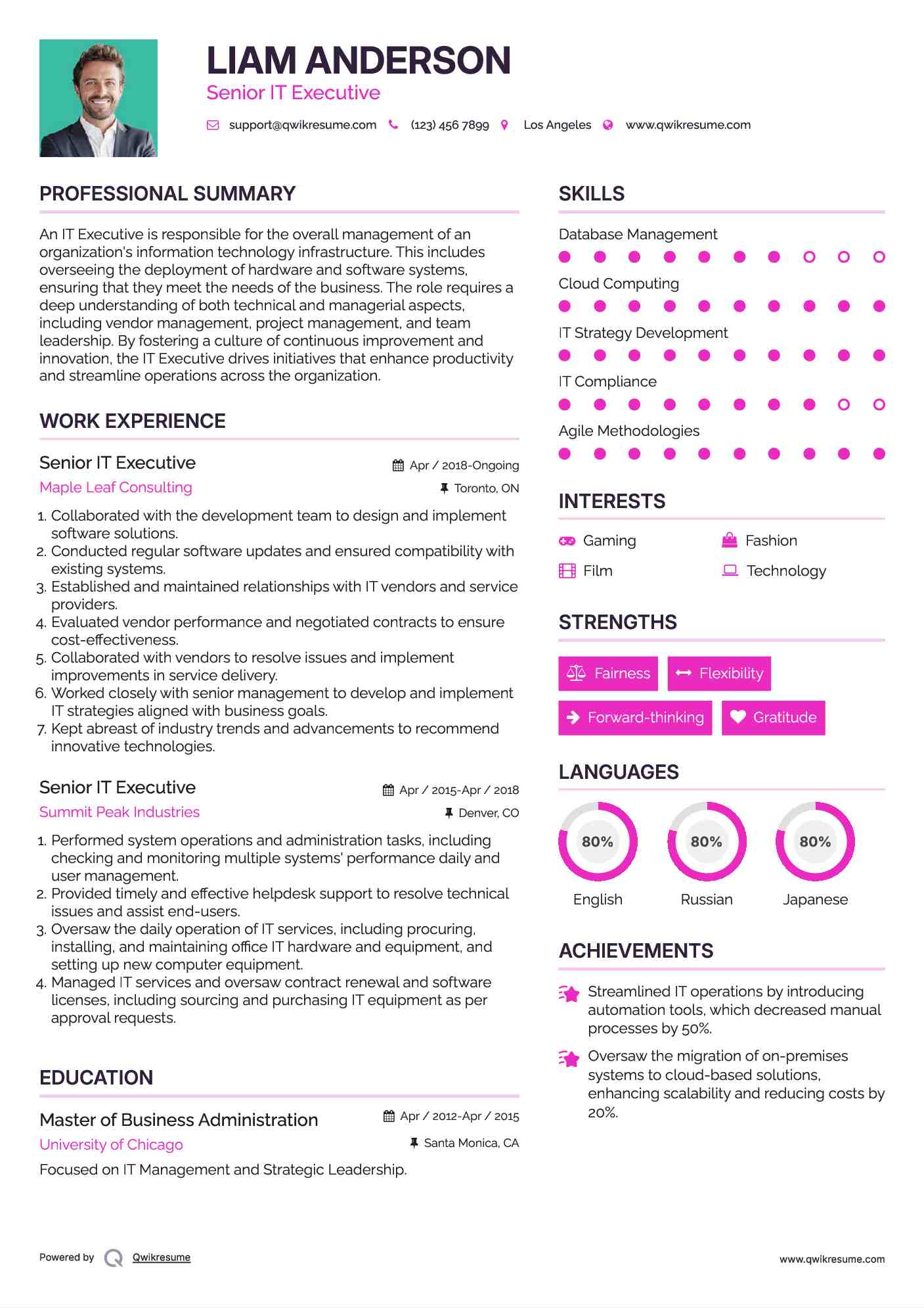 Senior IT Executive Resume Template