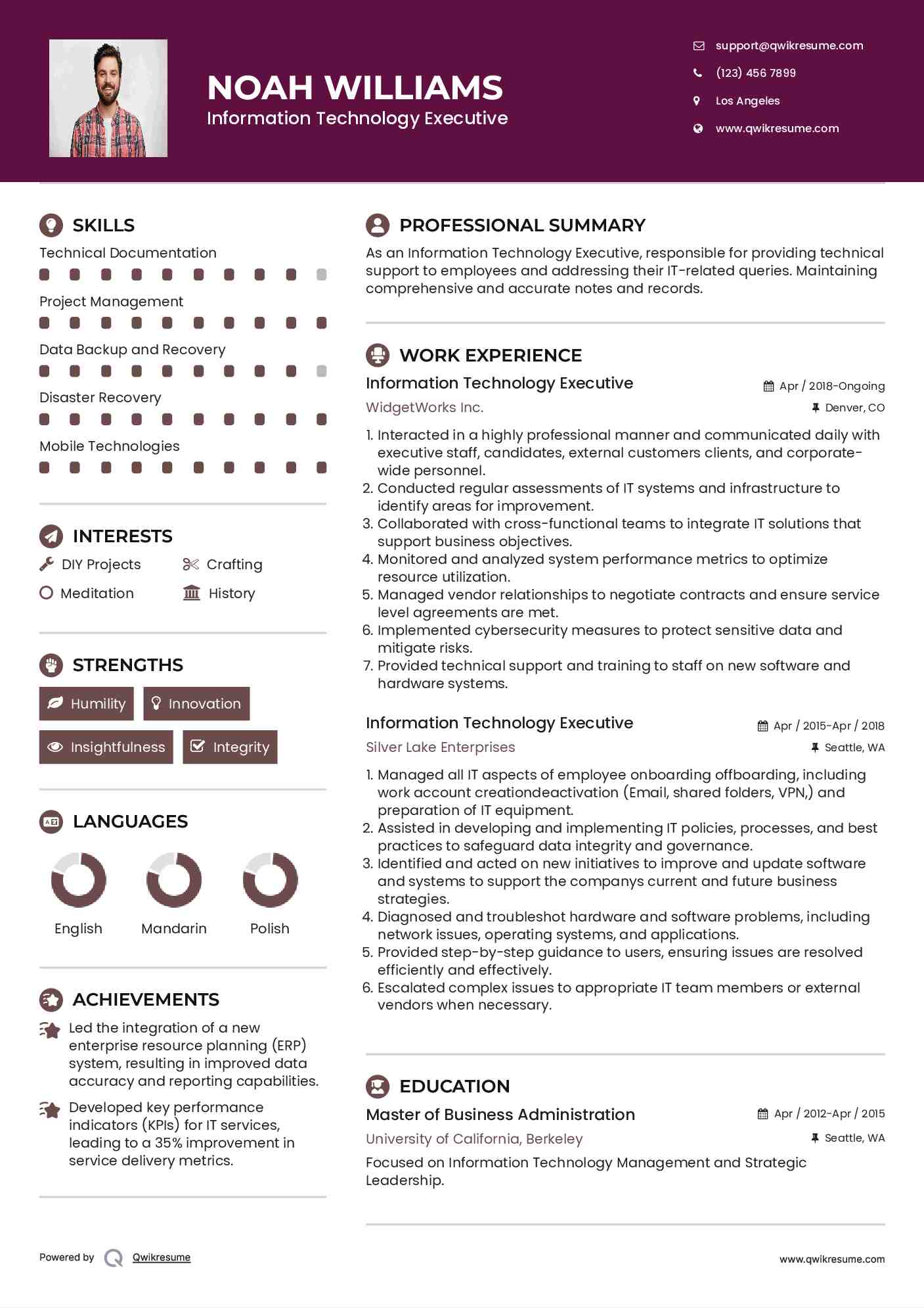 Information Technology Executive Resume Model