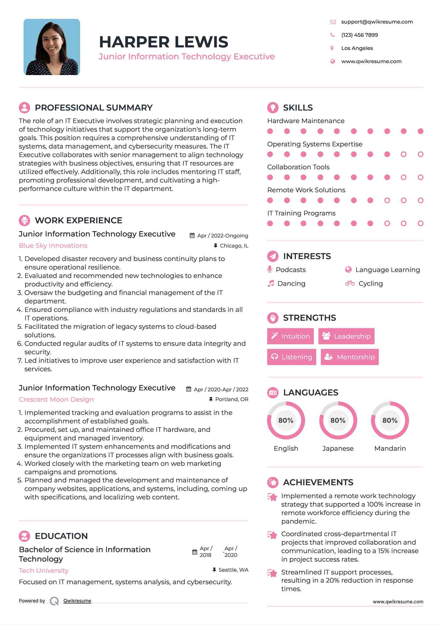 Junior Information Technology Executive Resume Sample