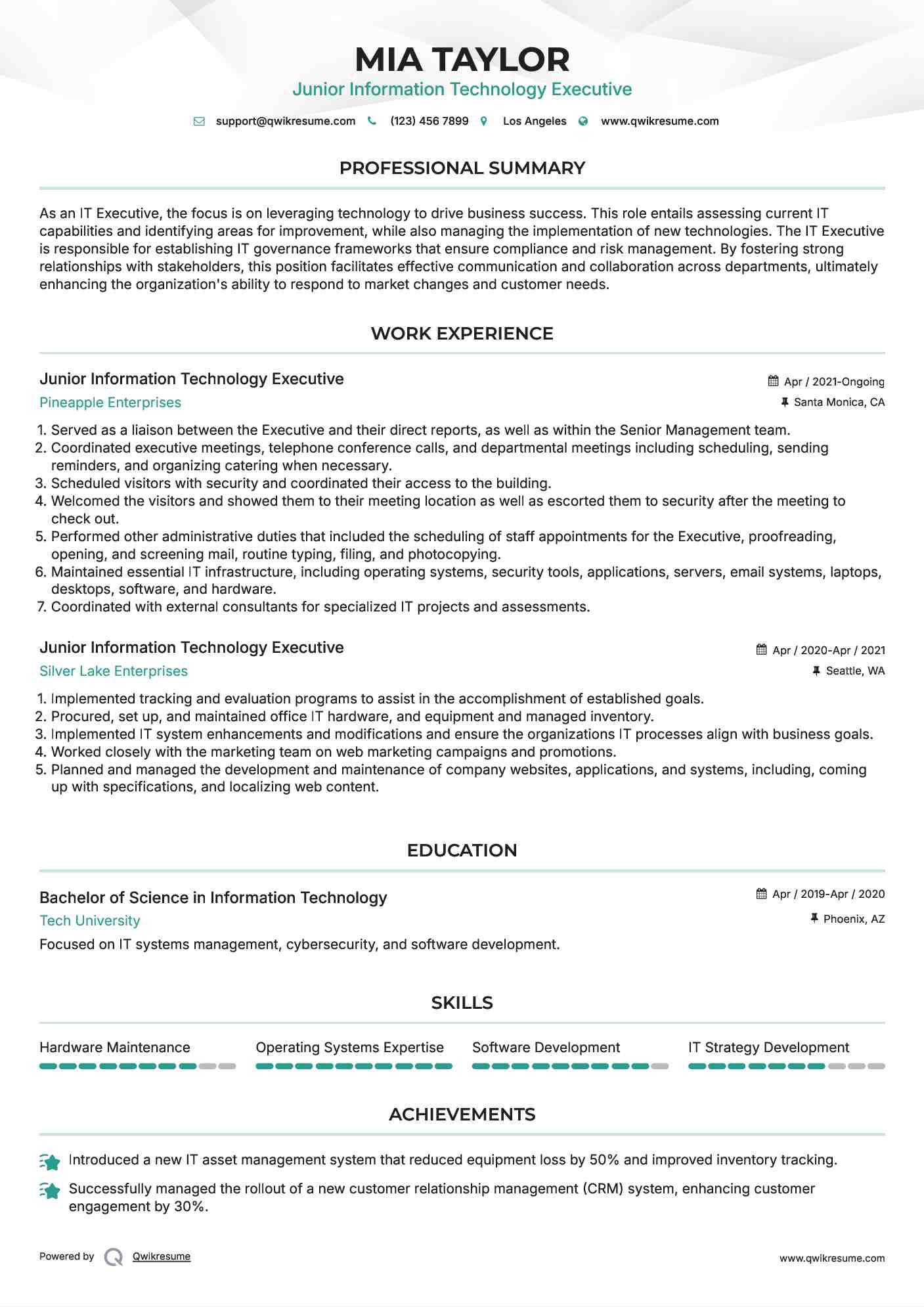 Junior Information Technology Executive Resume Example