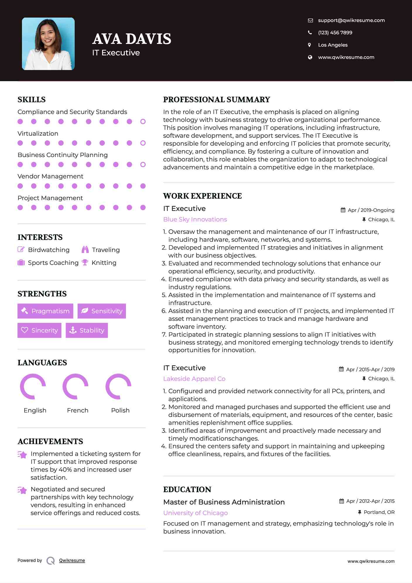 IT Executive Resume Model