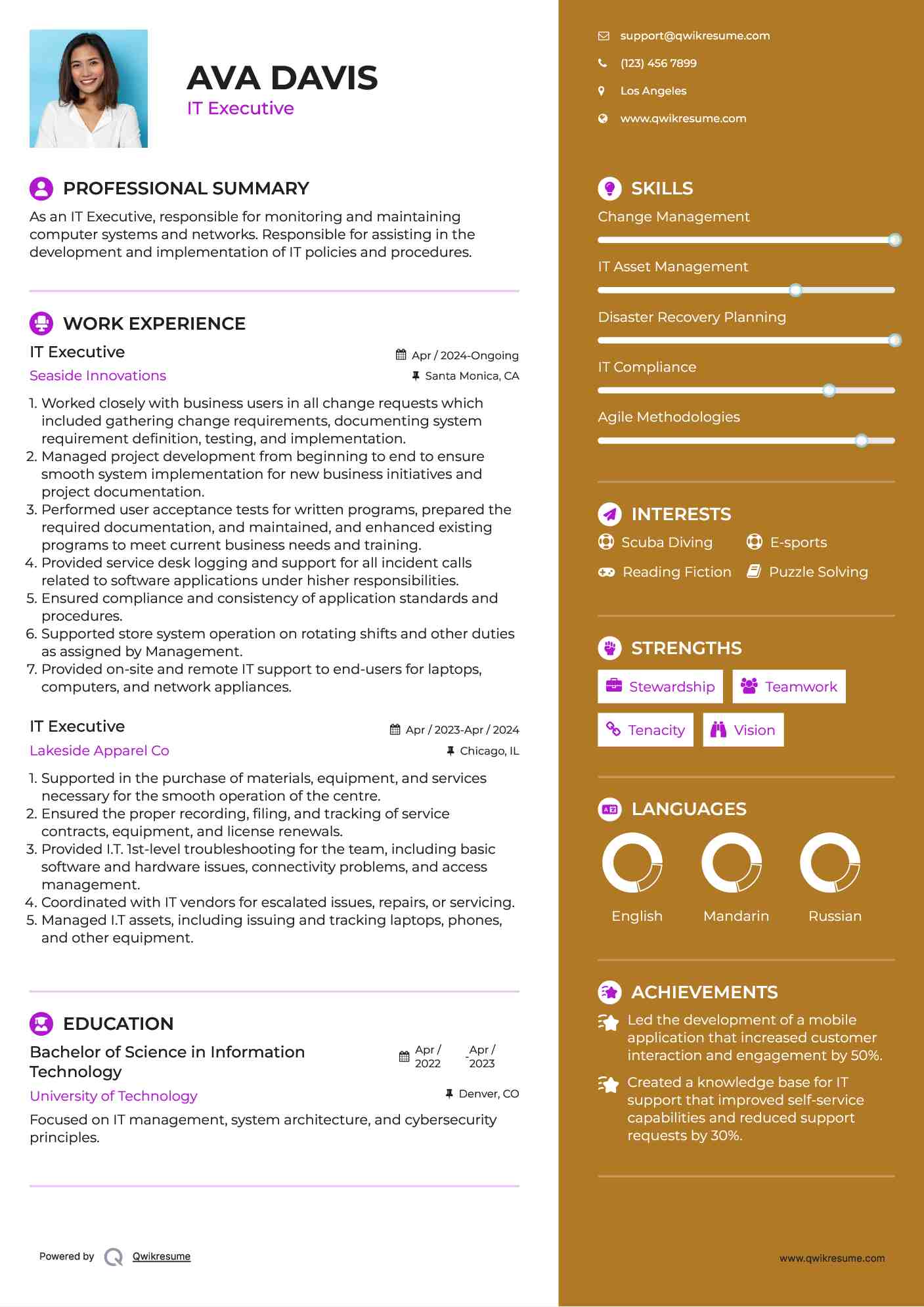 IT Executive Resume Template