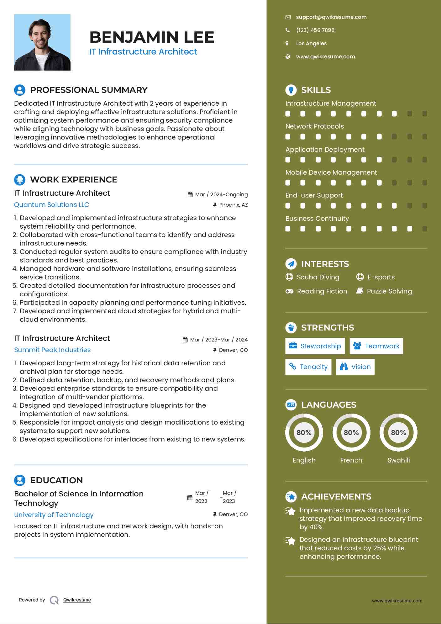 IT Infrastructure Architect Resume Example