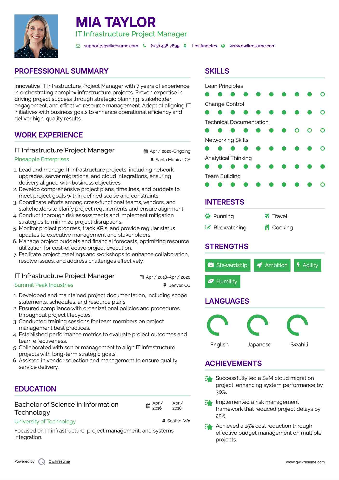 IT Infrastructure Project Manager Resume Example