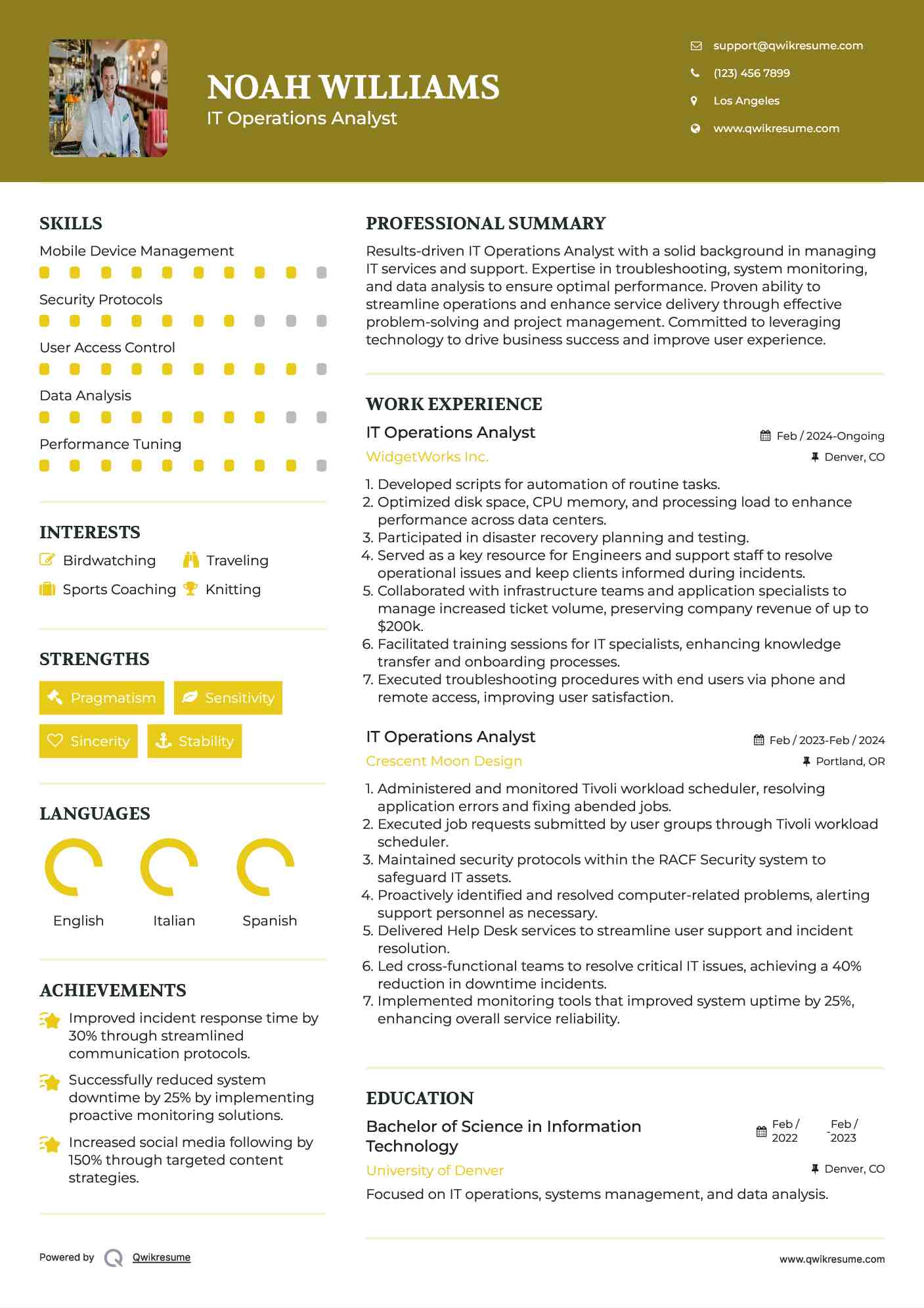 IT Operations Analyst Resume Template