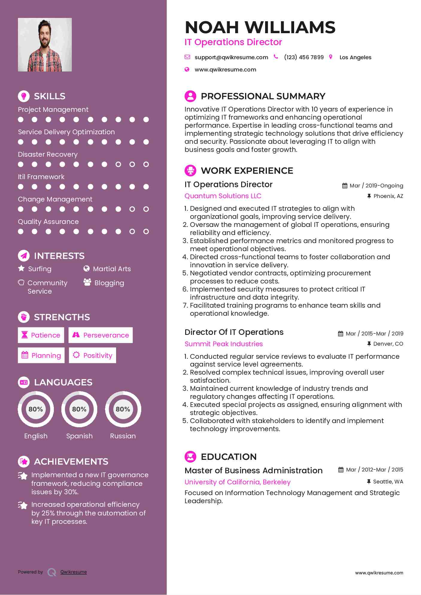 IT Operations Director Resume Model