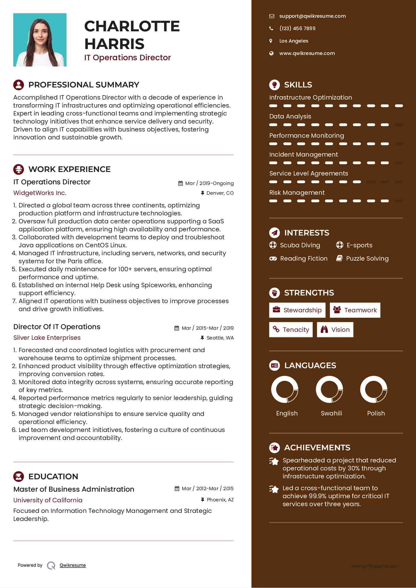 IT Operations Director Resume Model