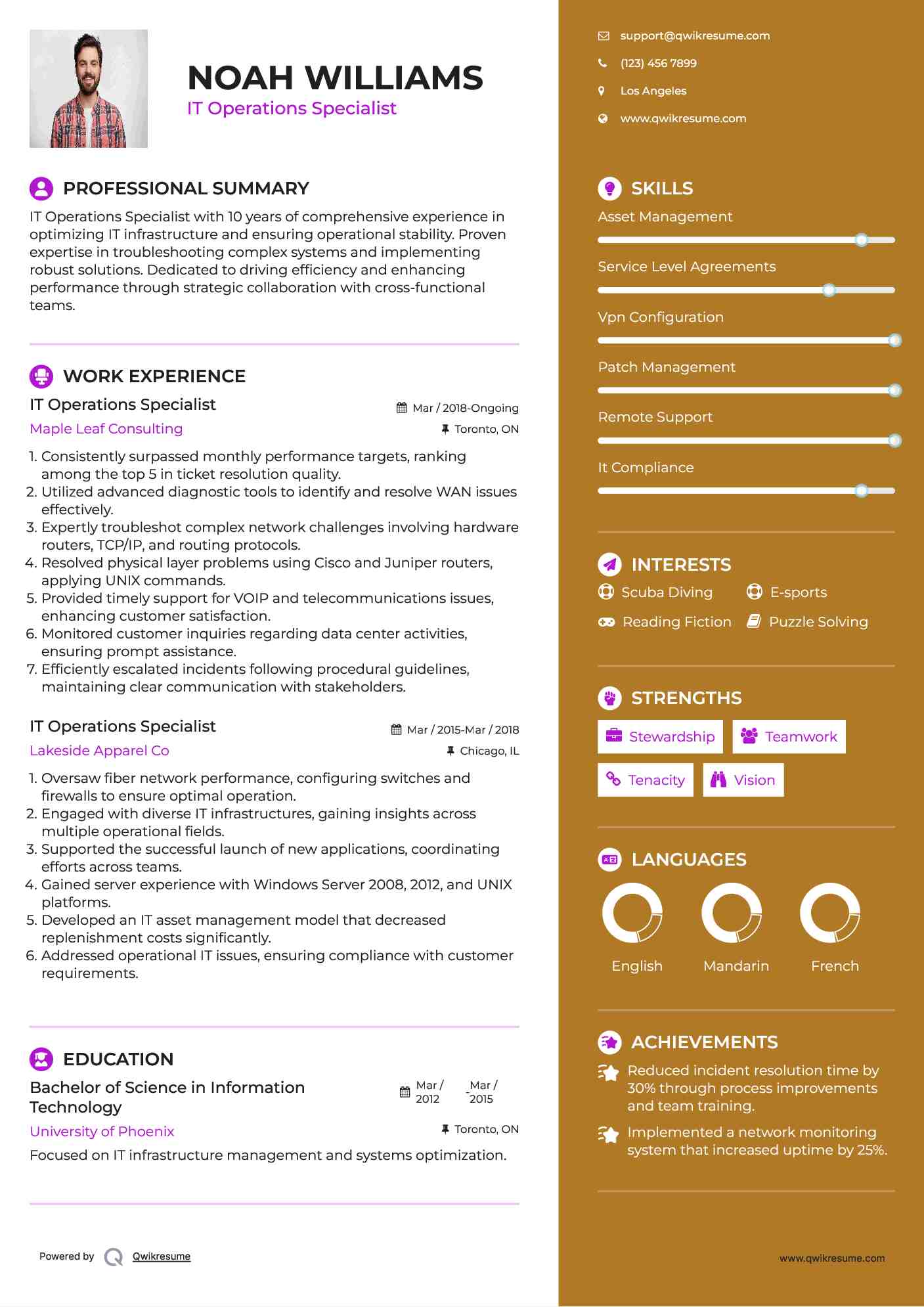 IT Operations Specialist Resume Example