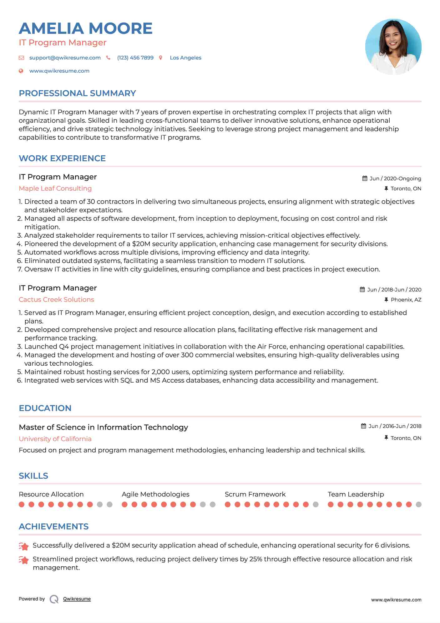 IT Program Manager Resume Model