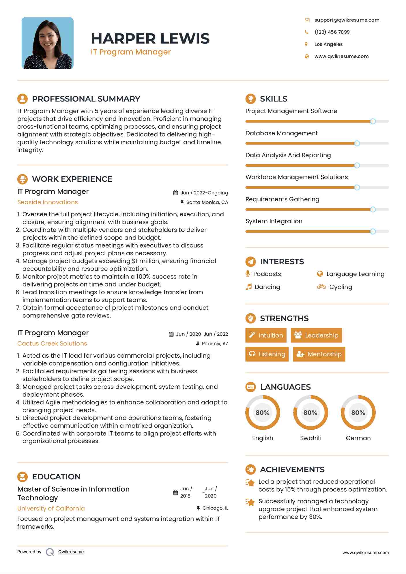 IT Program Manager Resume Model