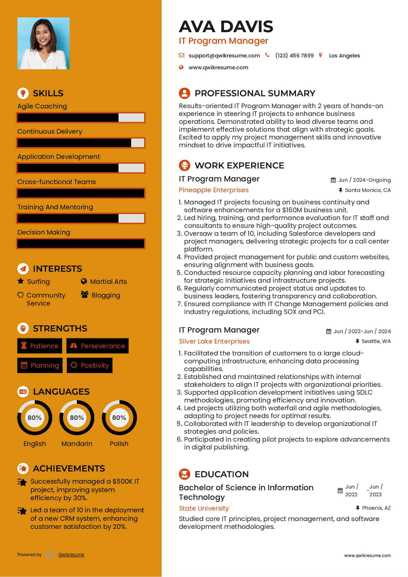 IT Program Manager Resume Model