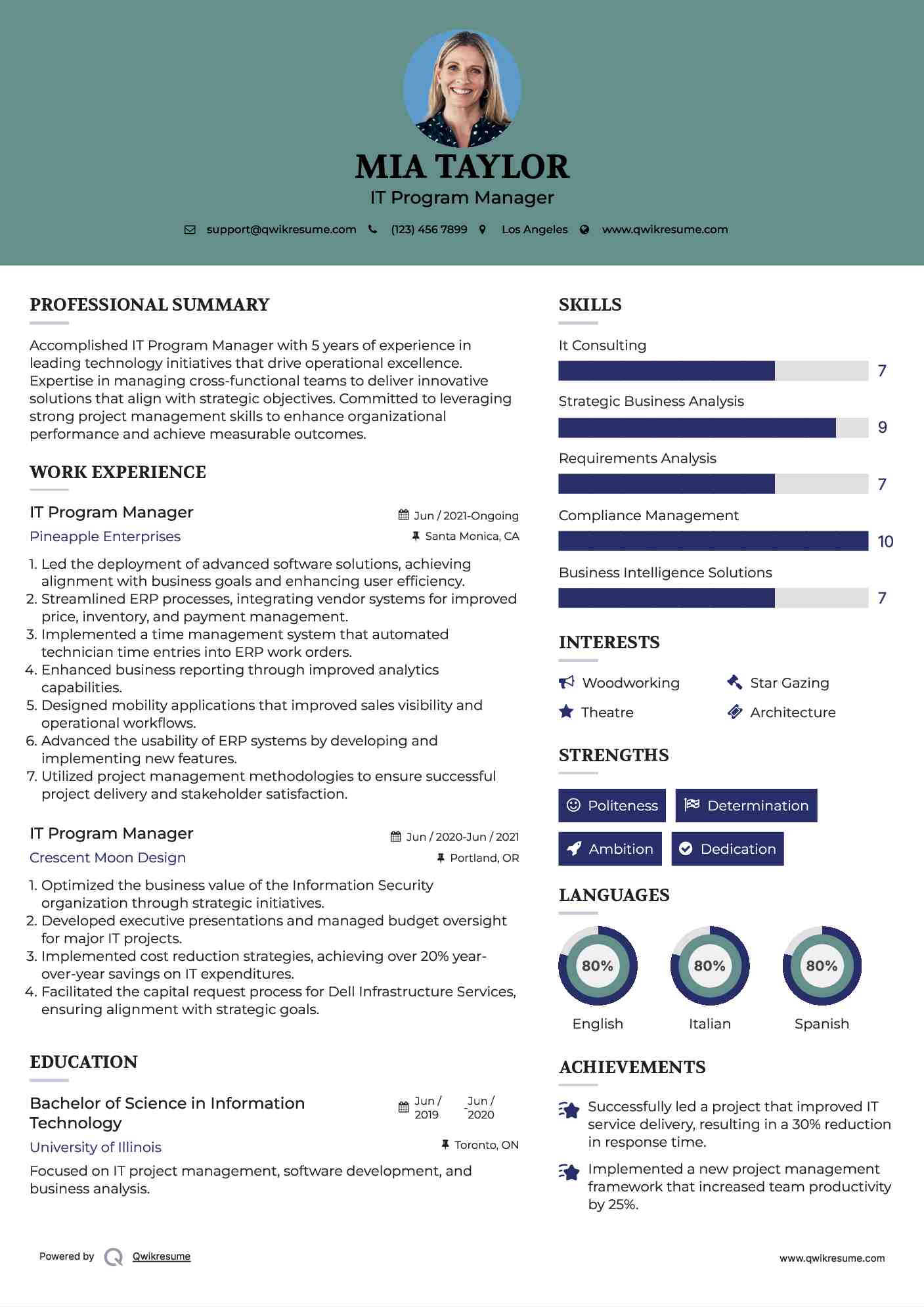 IT Program Manager Resume Example