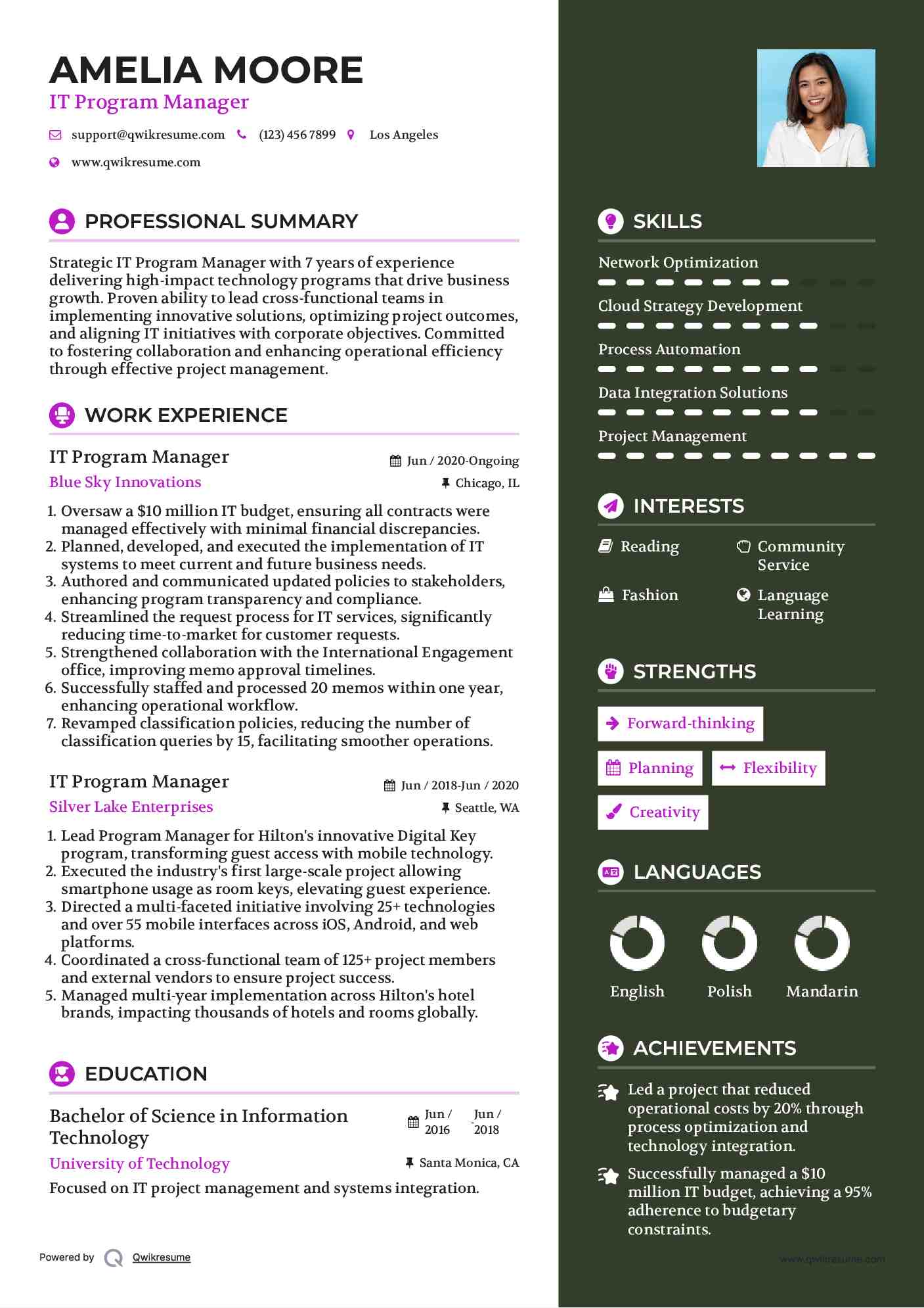 IT Program Manager Resume Samples QwikResume
