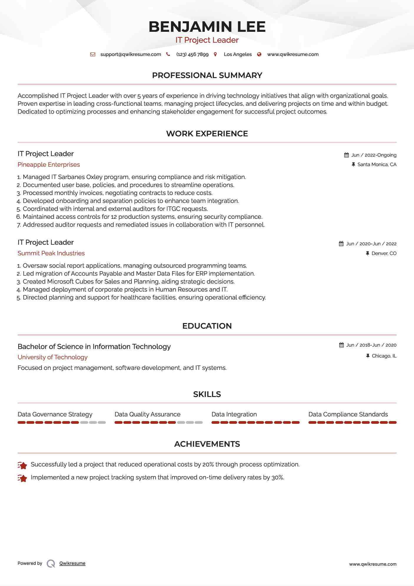IT Project Leader Resume Example