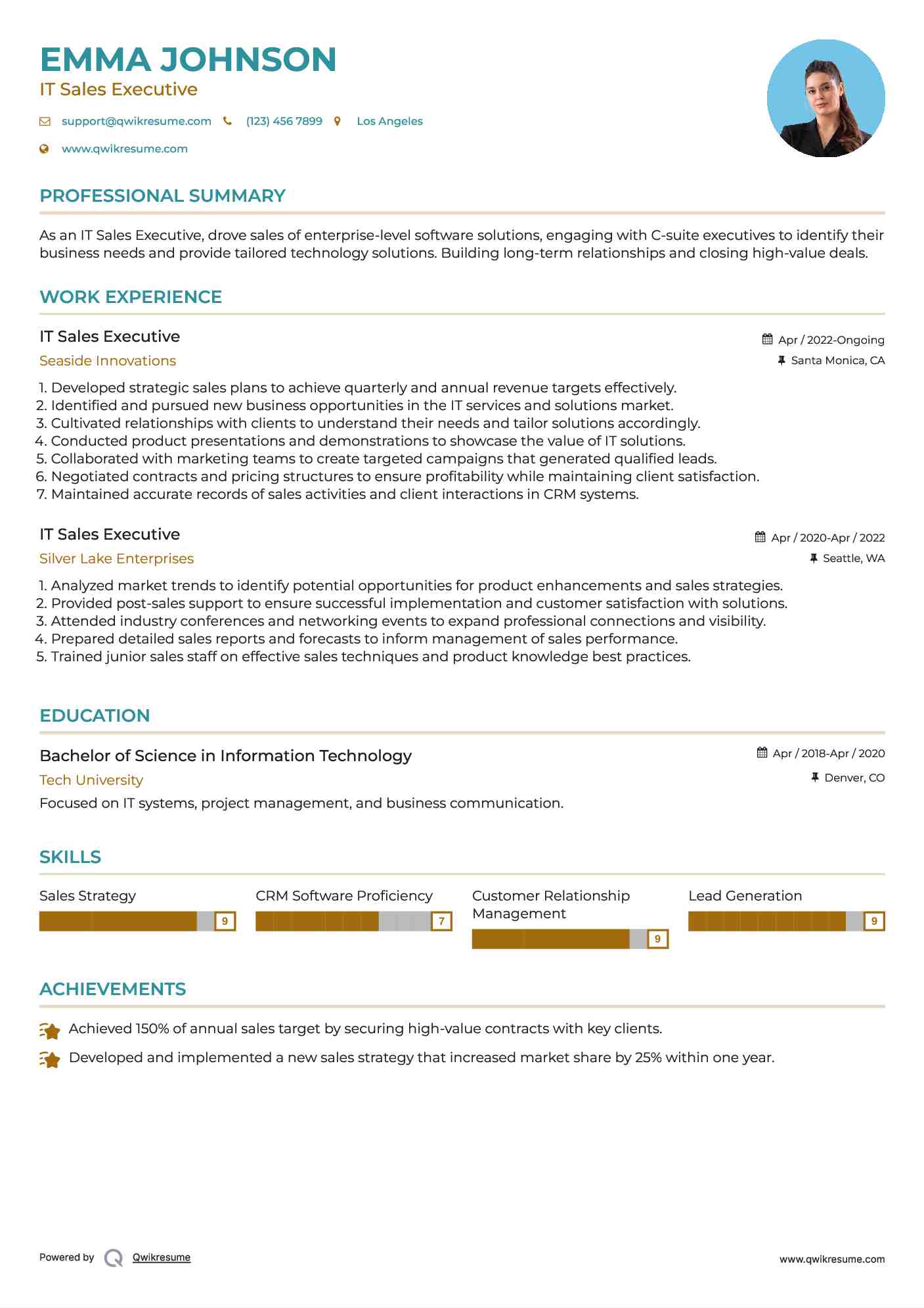 IT Sales Executive Resume Example