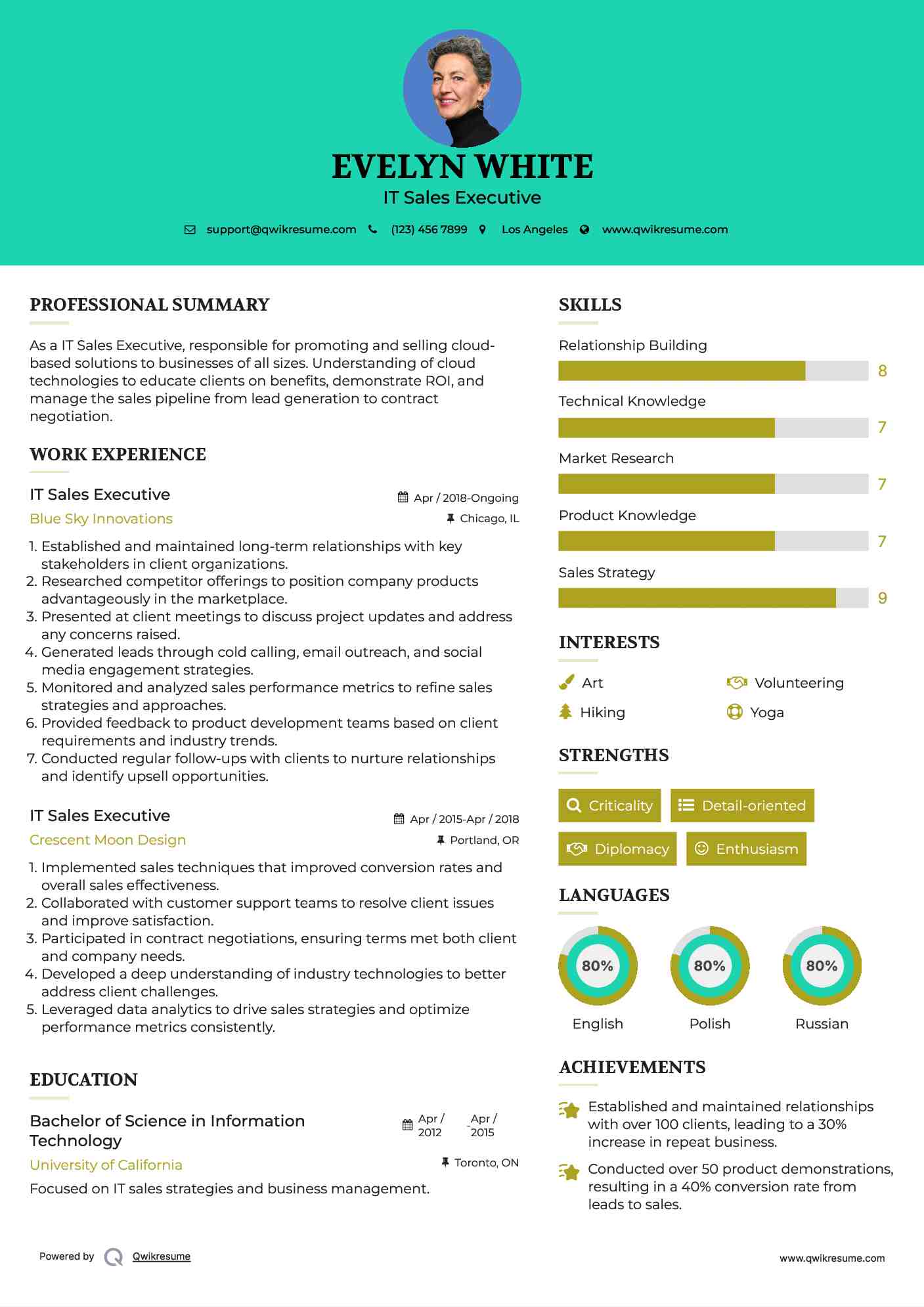 IT Sales Executive Resume Format