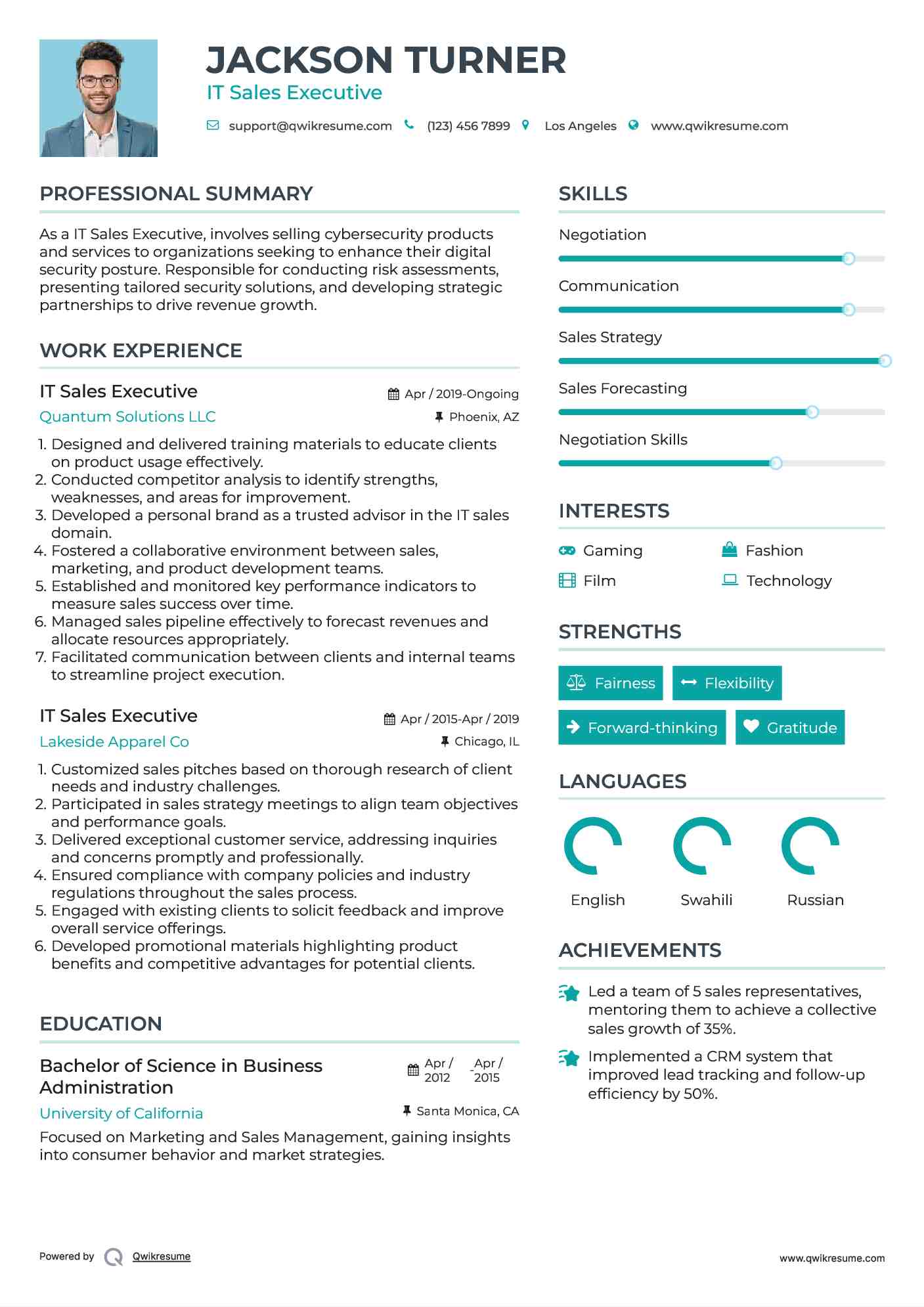 IT Sales Executive Resume Sample