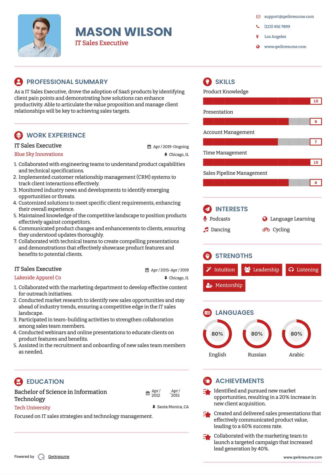 IT Sales Executive Resume Format