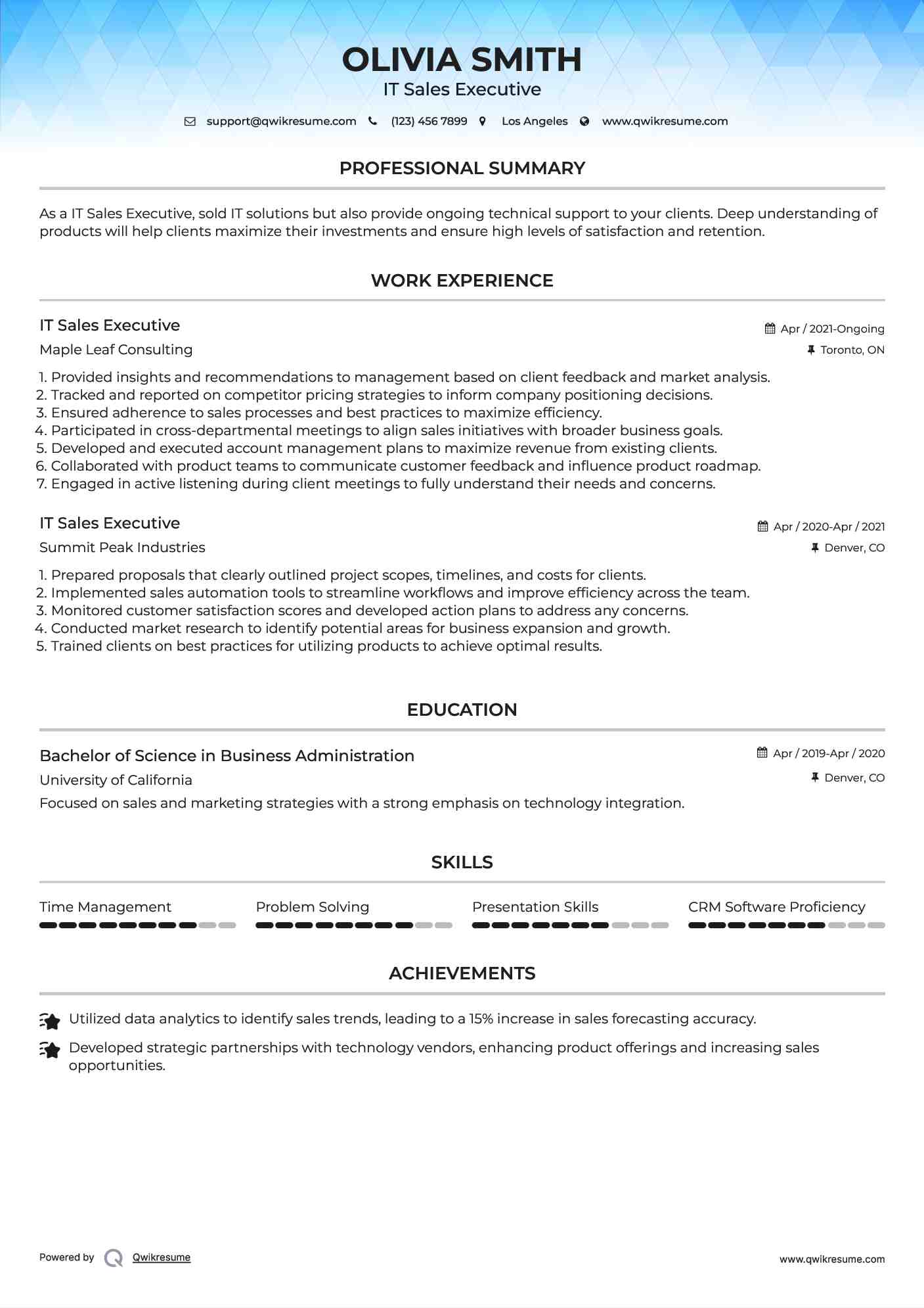 IT Sales Executive Resume Sample
