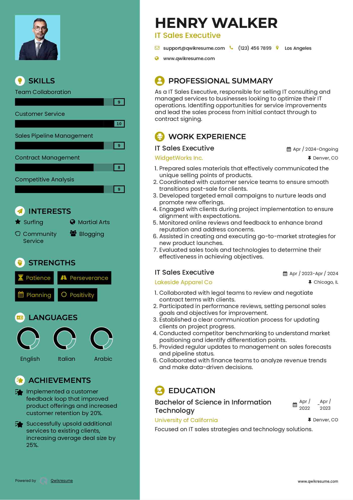 IT Sales Executive Resume Sample