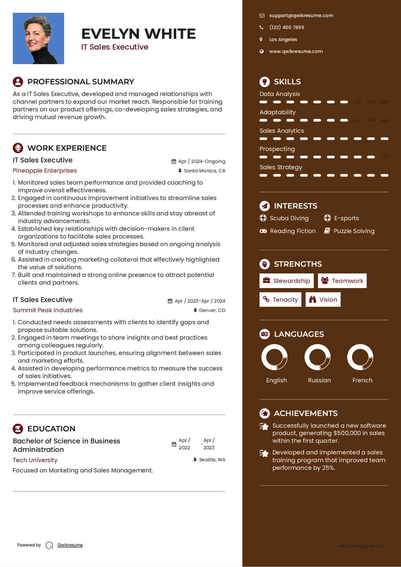 IT Sales Executive Resume Format