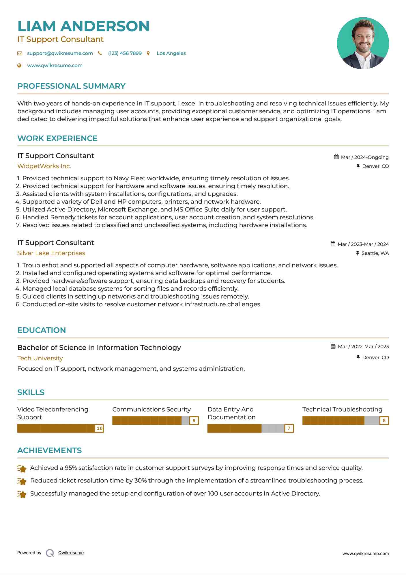 IT Support Consultant Resume Sample
