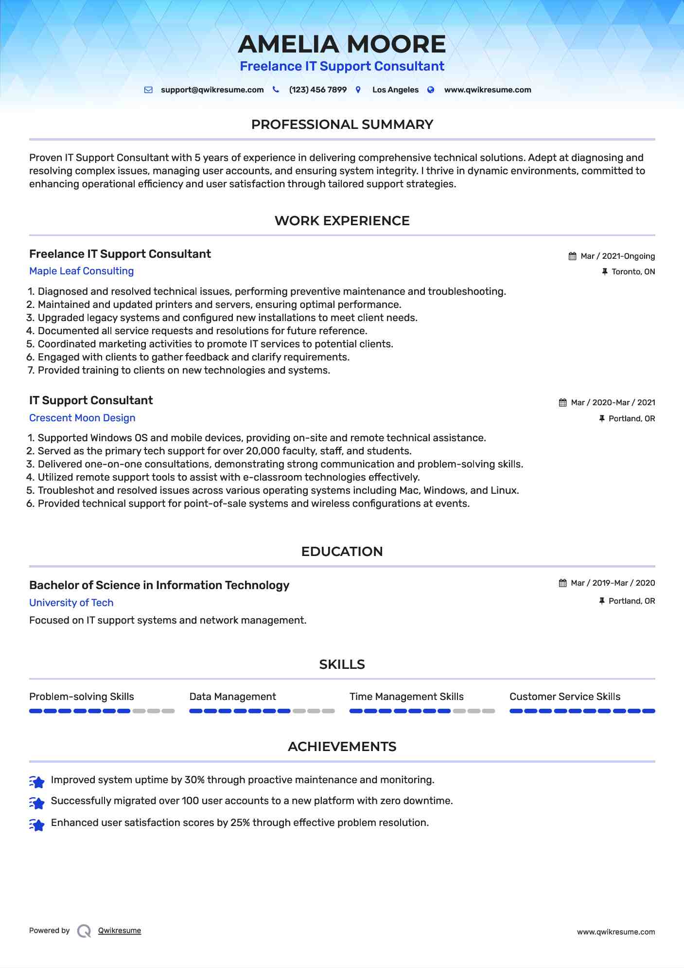 Freelance IT Support Consultant Resume Template