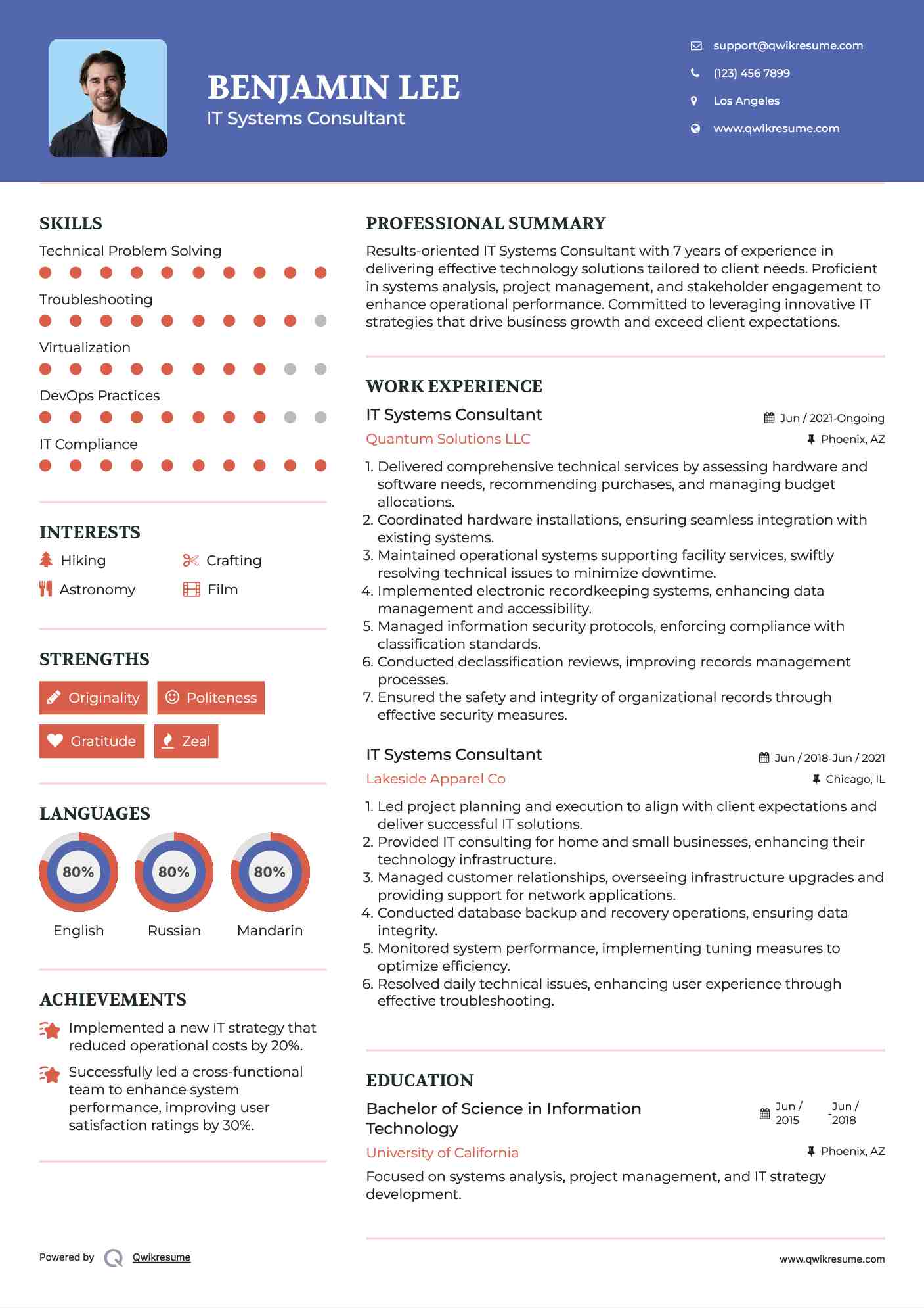 IT Systems Consultant Resume Example