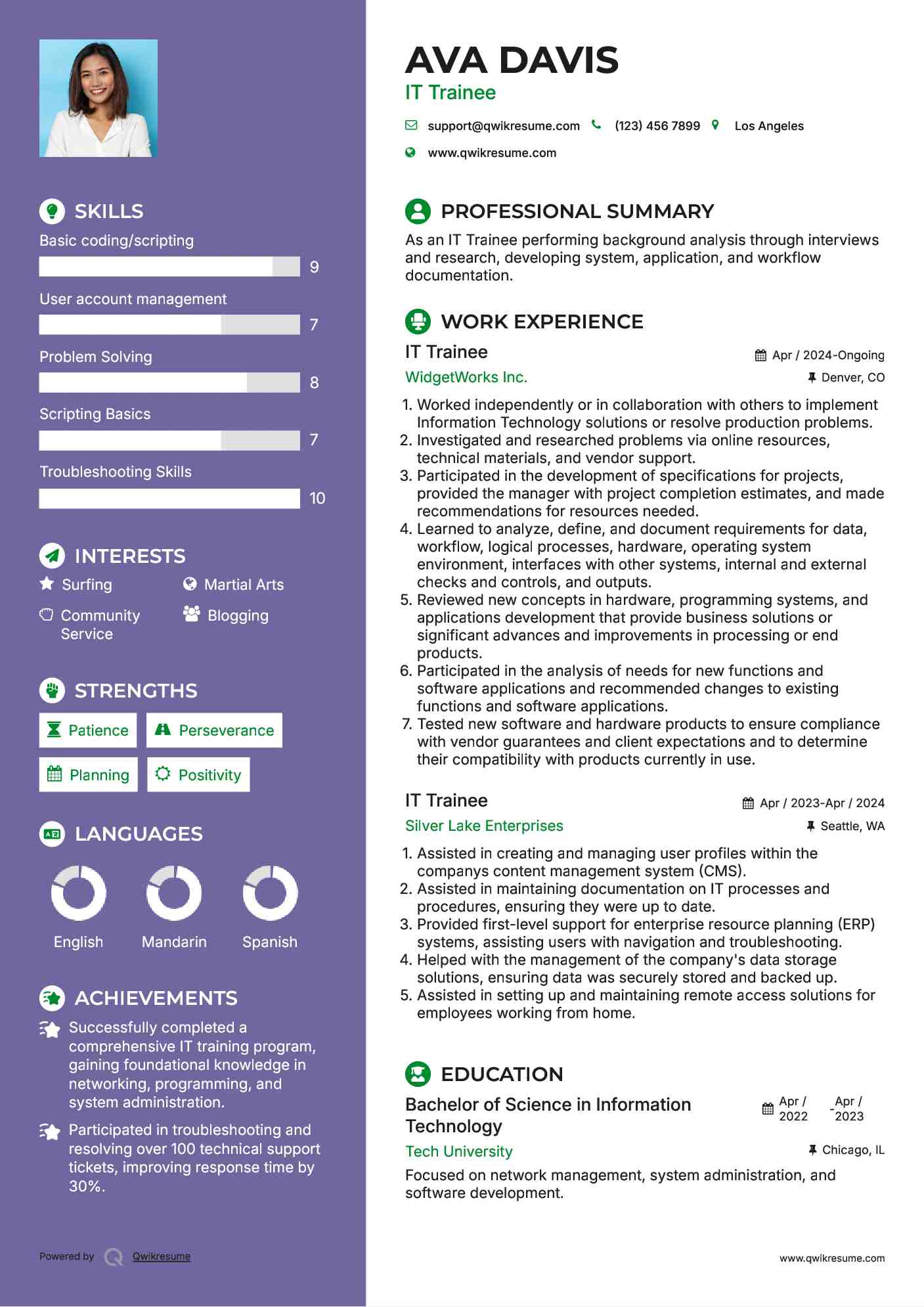 IT Trainee Resume Example
