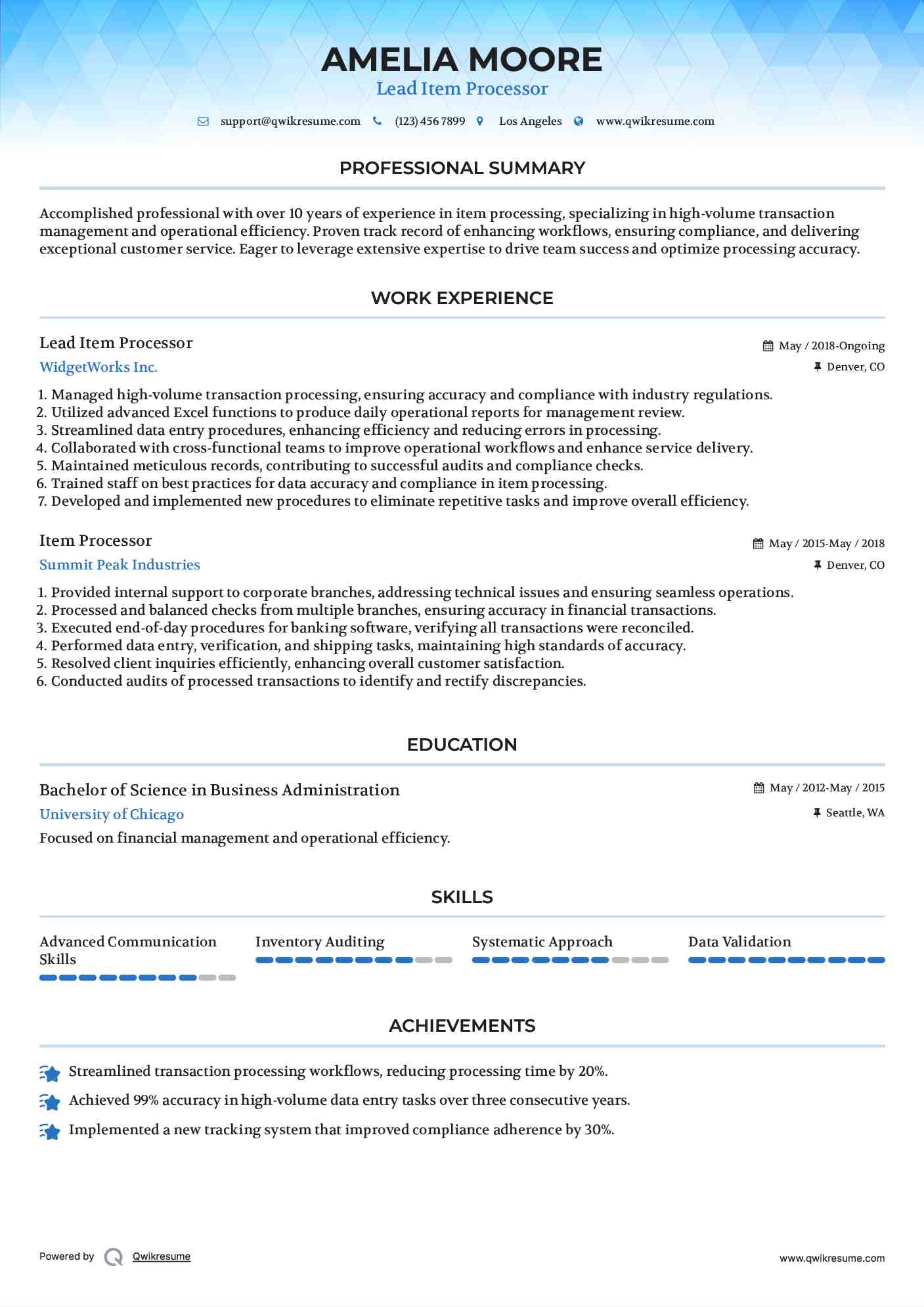 Lead Item Processor Resume Sample