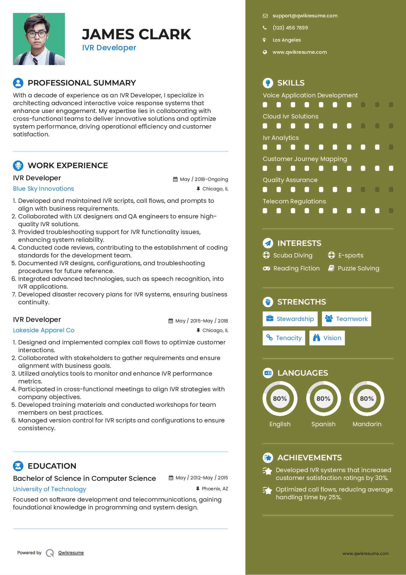 IVR Developer Resume Template